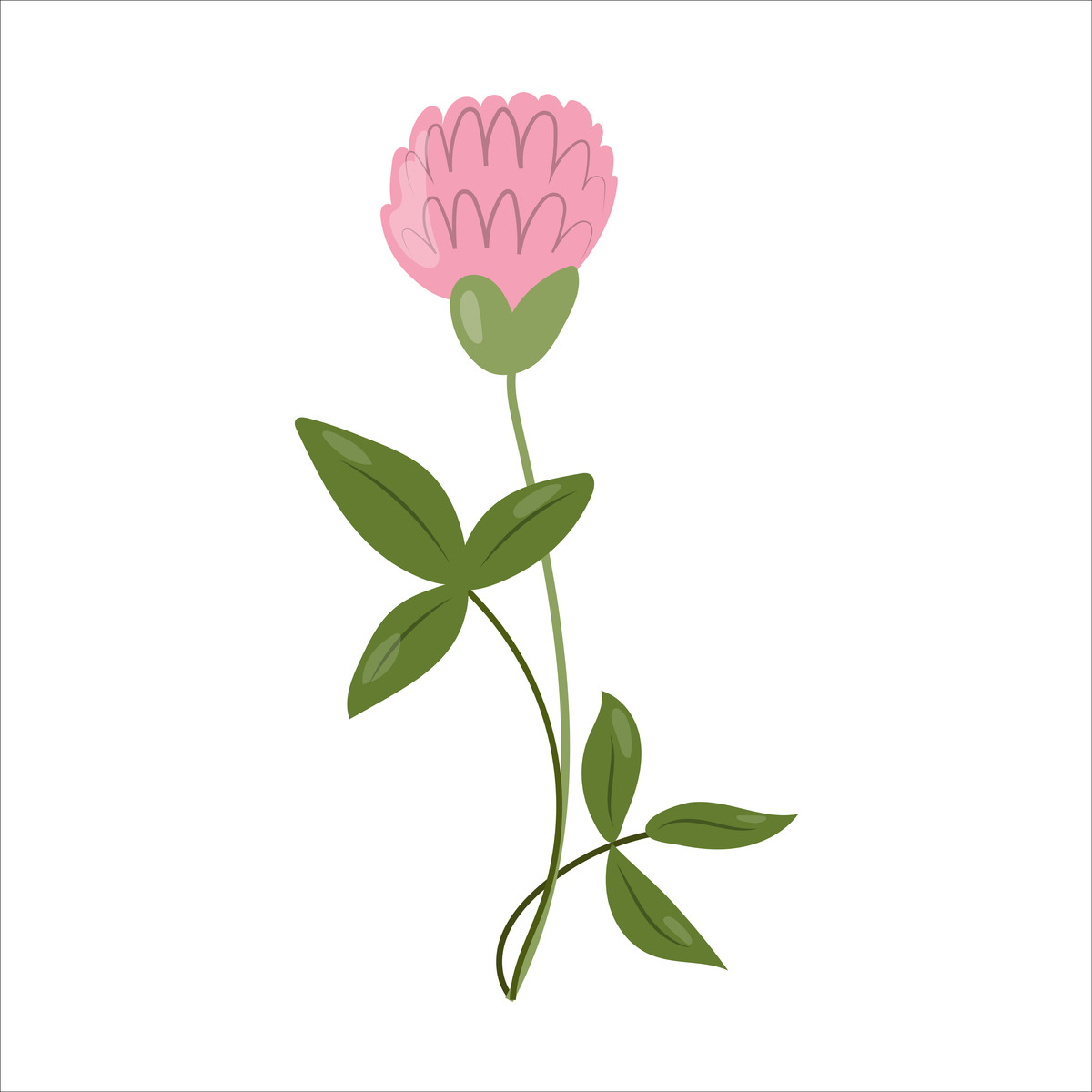 北京版教材 'What do flowers do?' 植物各部分名称与功能分析