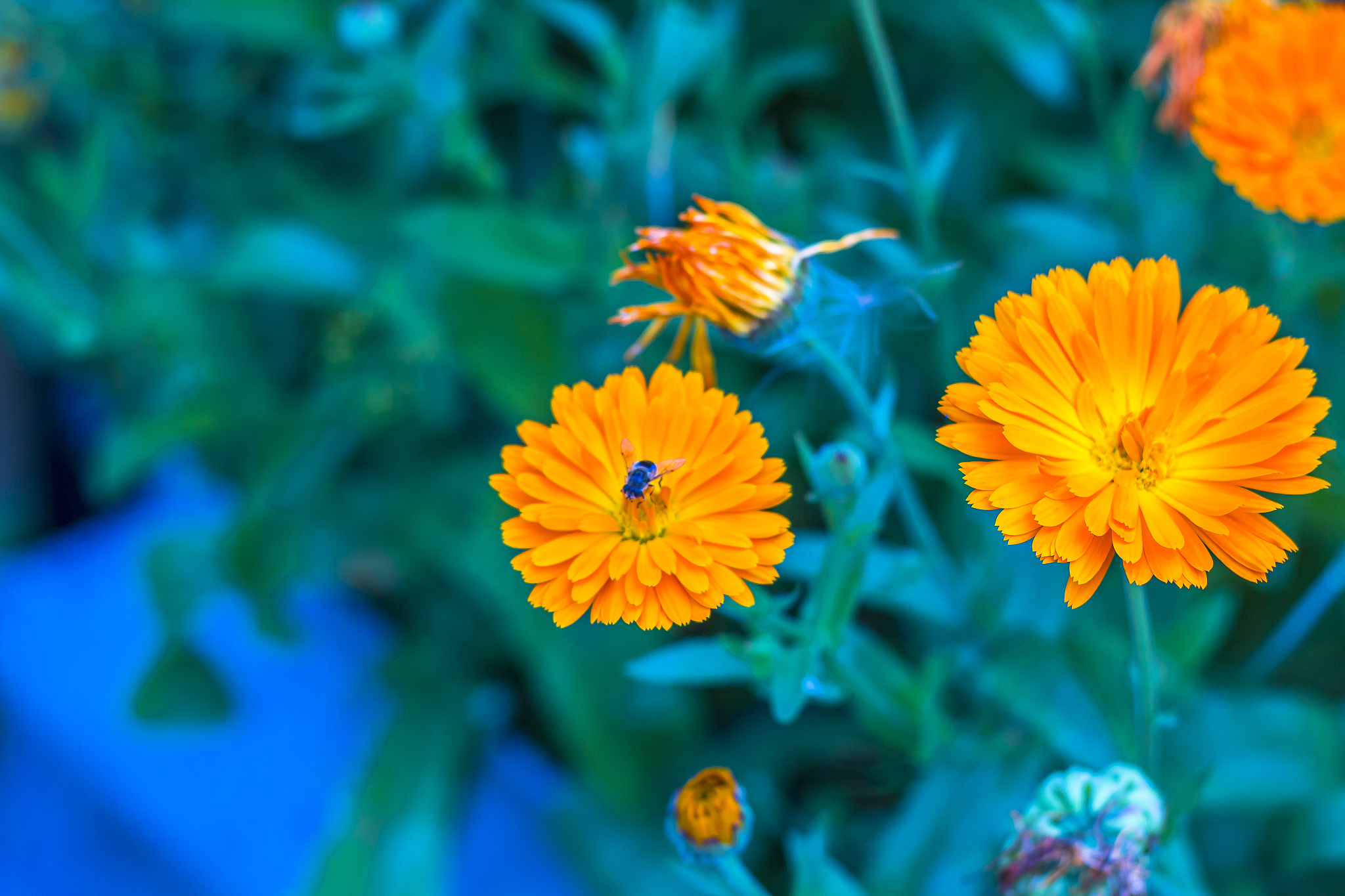 曲靖医学高等专科学校五年制大专怎么样？教学质量和发展前景分析