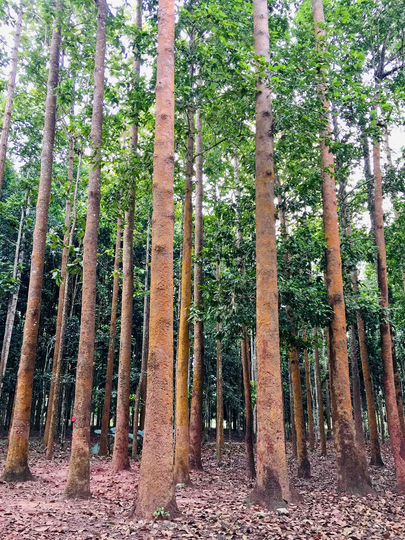 西双版纳卫校招生专业|西双版纳卫生学校招生信息