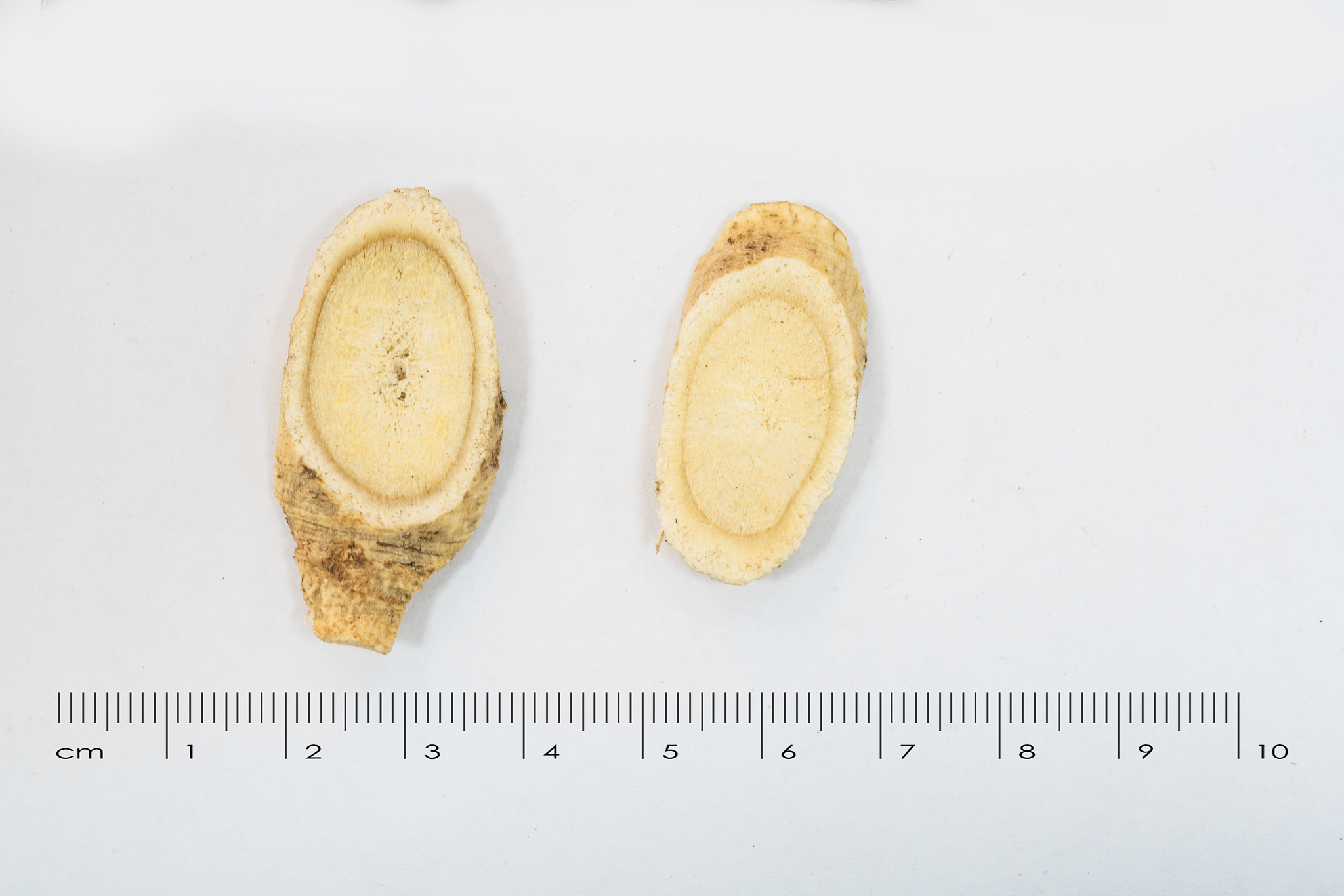 子洲县F公司黄芪产品市场营销策略优化研究：文献评述