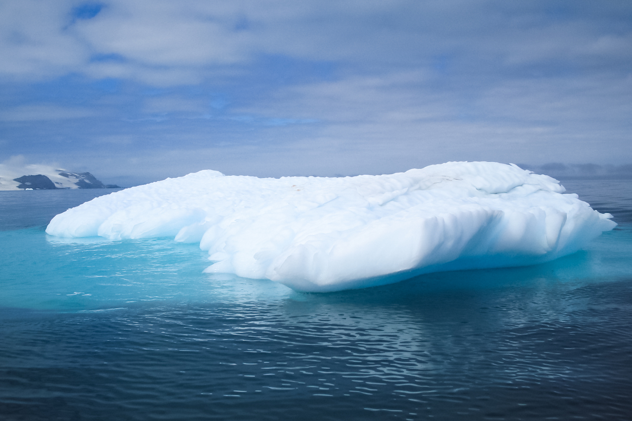 antarctic icebergs in the waters of the ocean