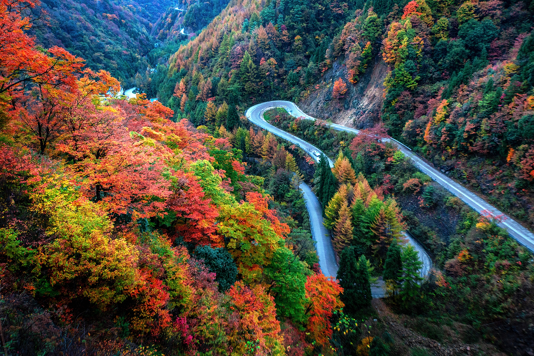 光雾山仙境之旅，抖音必打卡！