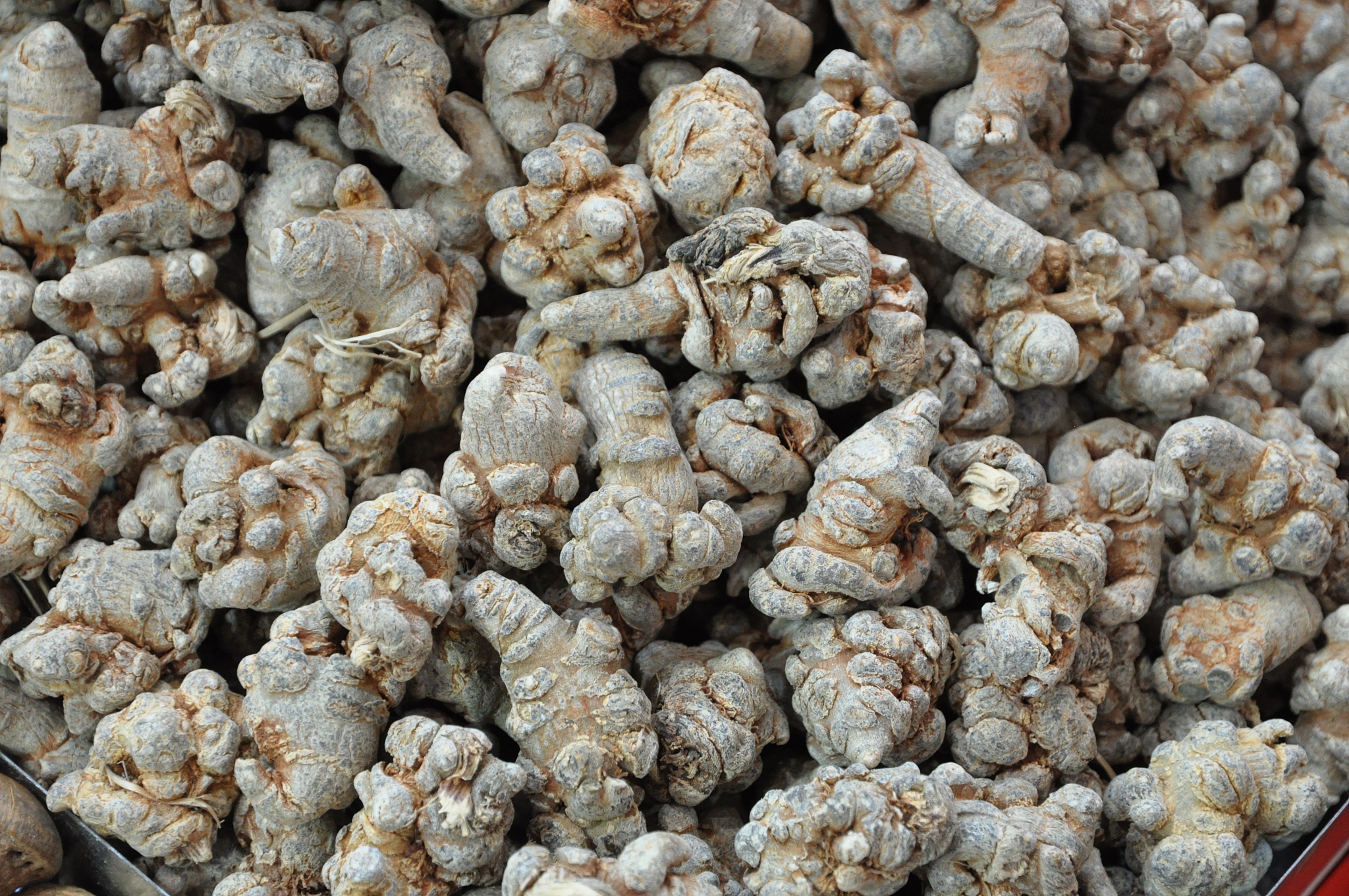 那些书里提到文山三七