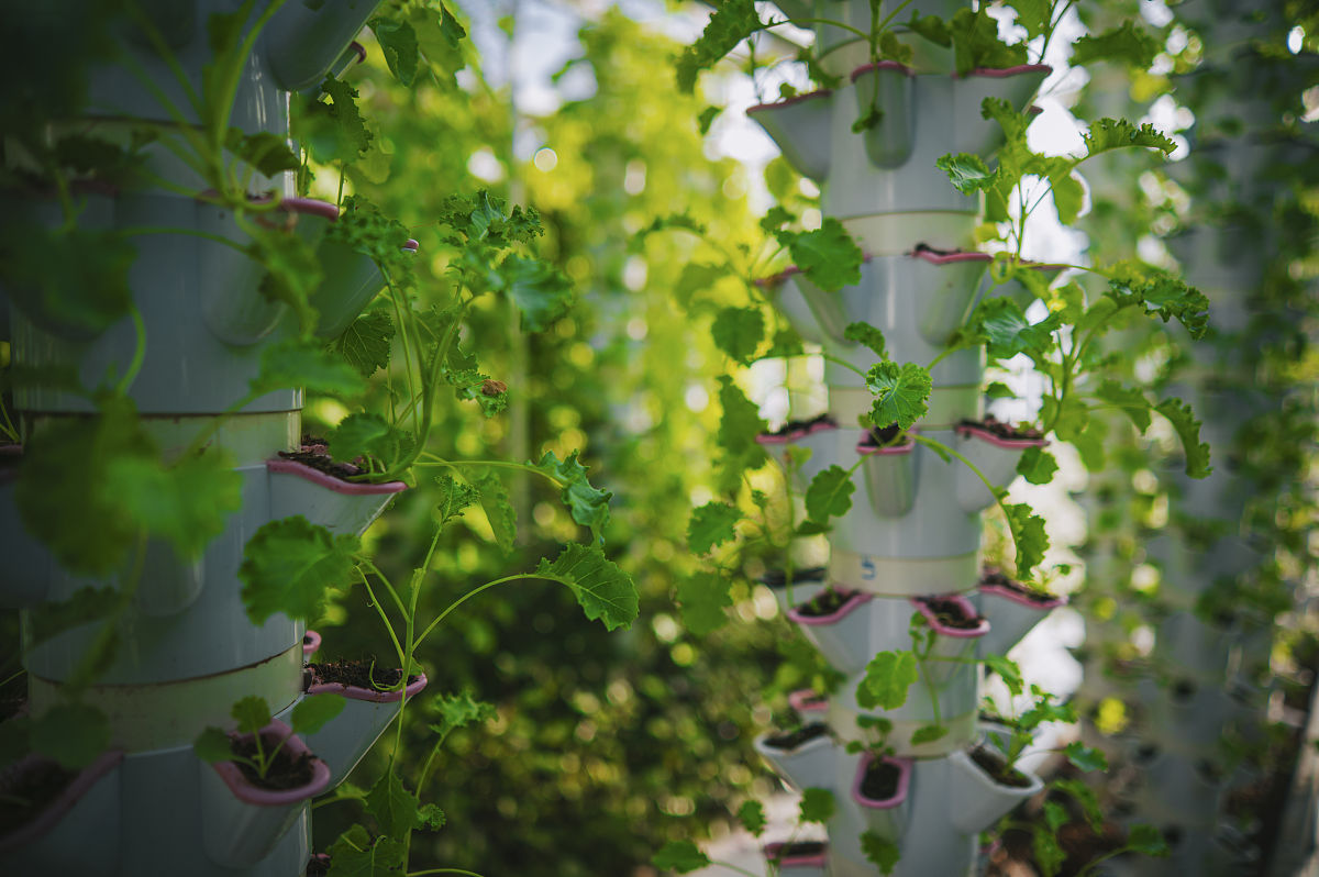 区域生态系统风险综合评价：未来研究重点