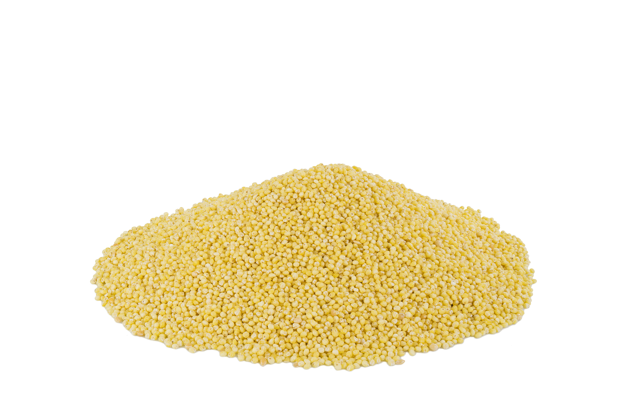 pearl millet