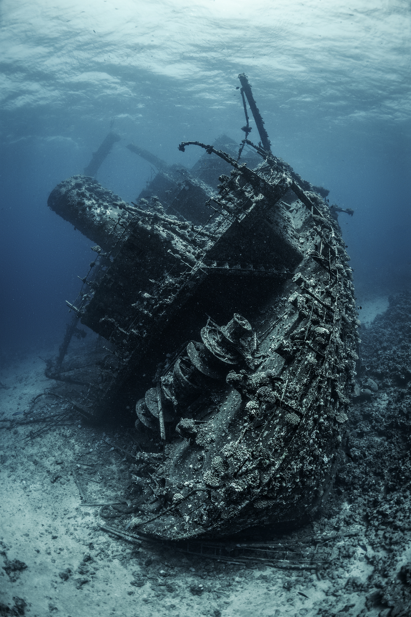 huge rusty shipwreck completely overgrown by corals and algae ly