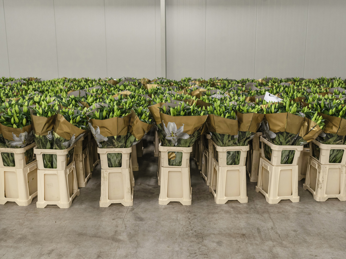 金属花箱源头工厂实景拍摄加工生产中正在喷漆印刷宣传文案