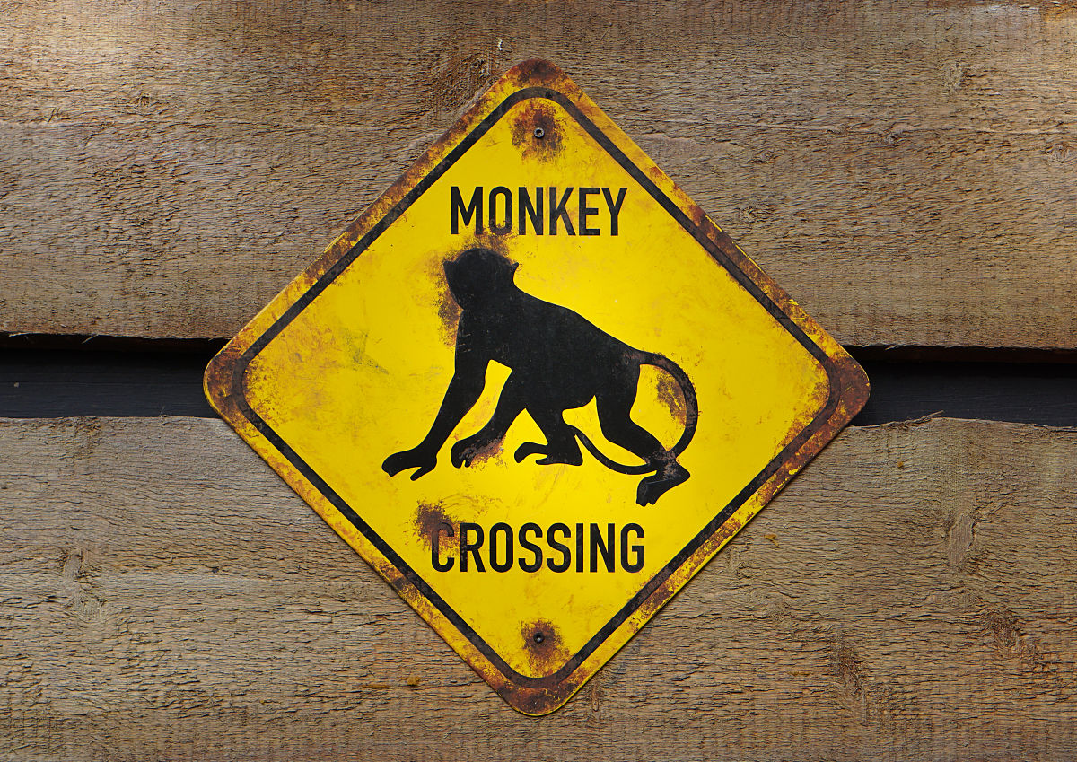 咱们穿越吧是一款很赞的休闲酷跑闯关手游游戏更新日志