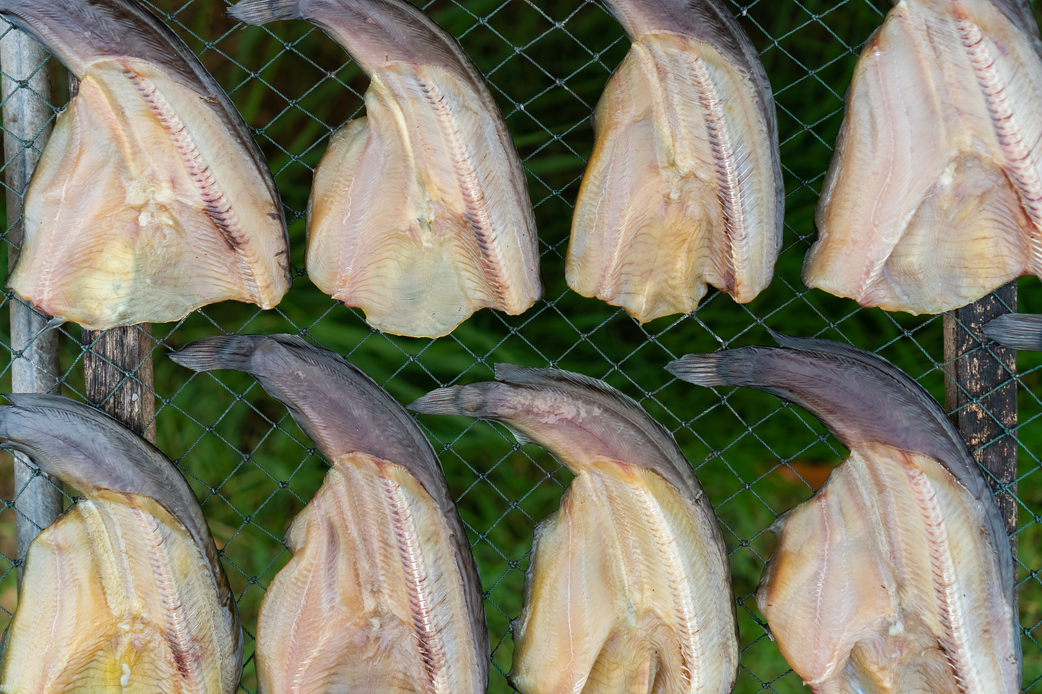 以智能保鲜盒为主题起几个团队名称