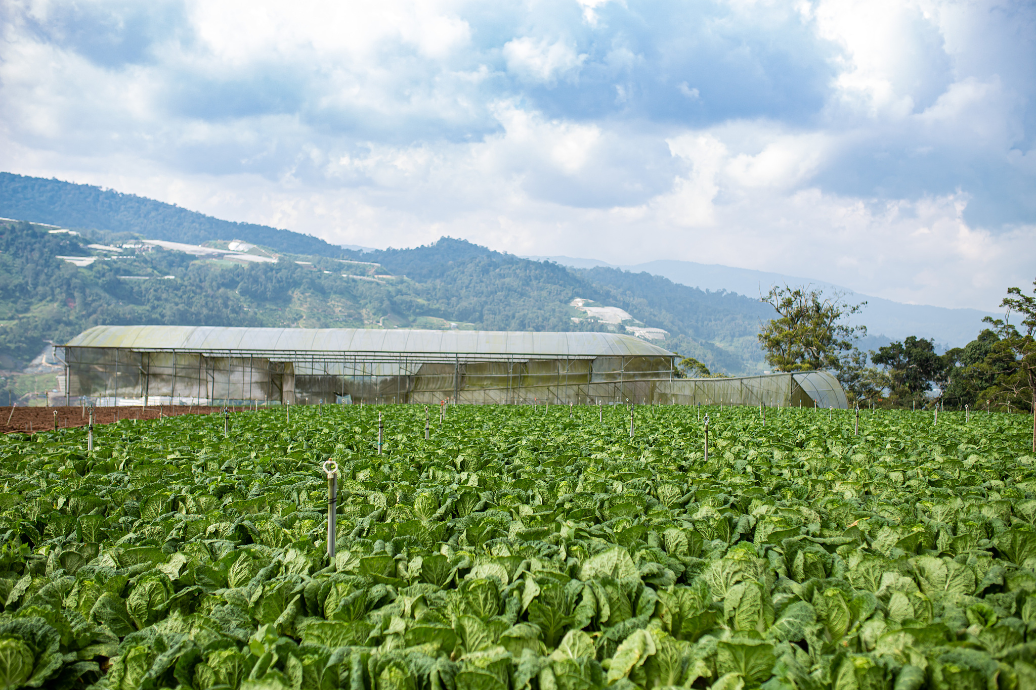辽宁农业职业技术学院2022年招生专业：农业科学、动物医学等