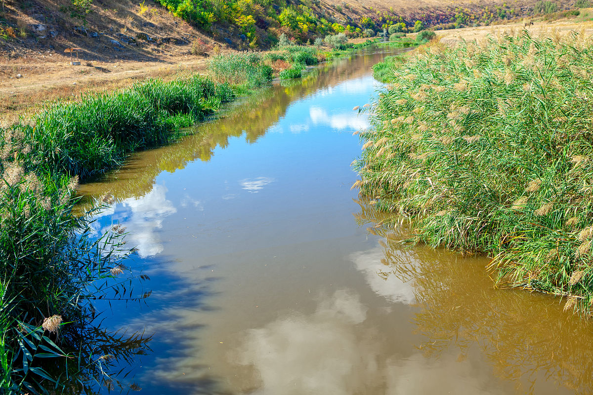 扩写：构建水资源净化再利用系统综合配置陆生湿生植栽修复场地生物多样性构建食物链以稳定生态系统以活力水源串联城市栏里空间以滨河绿地缝合城市生态廊道