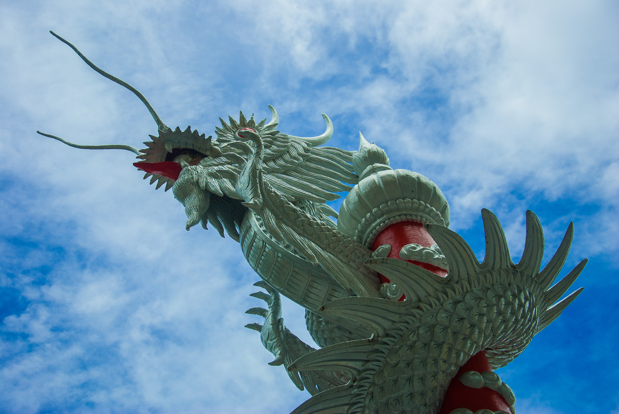 dragon