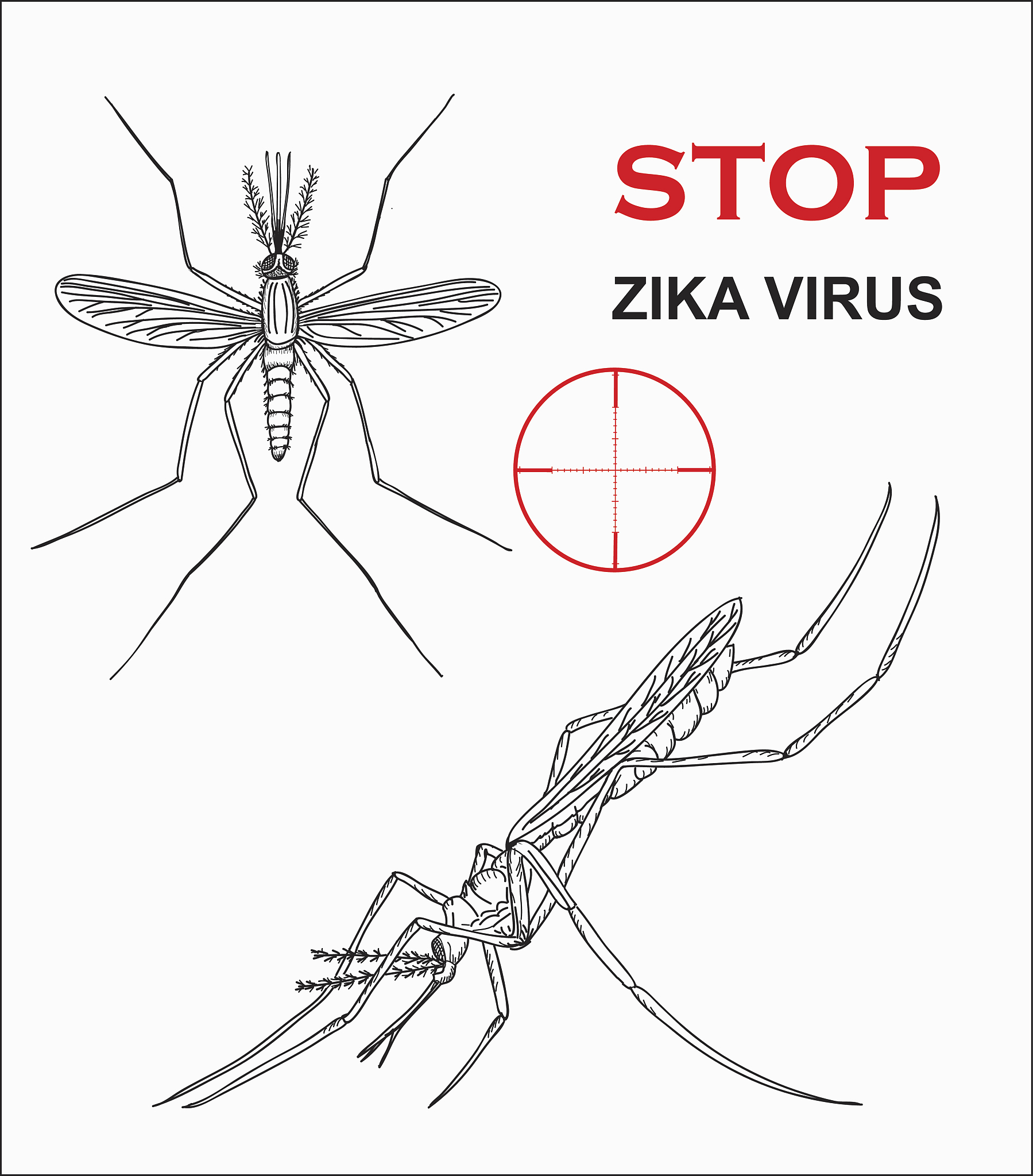 蚊子有多少颗牙齿