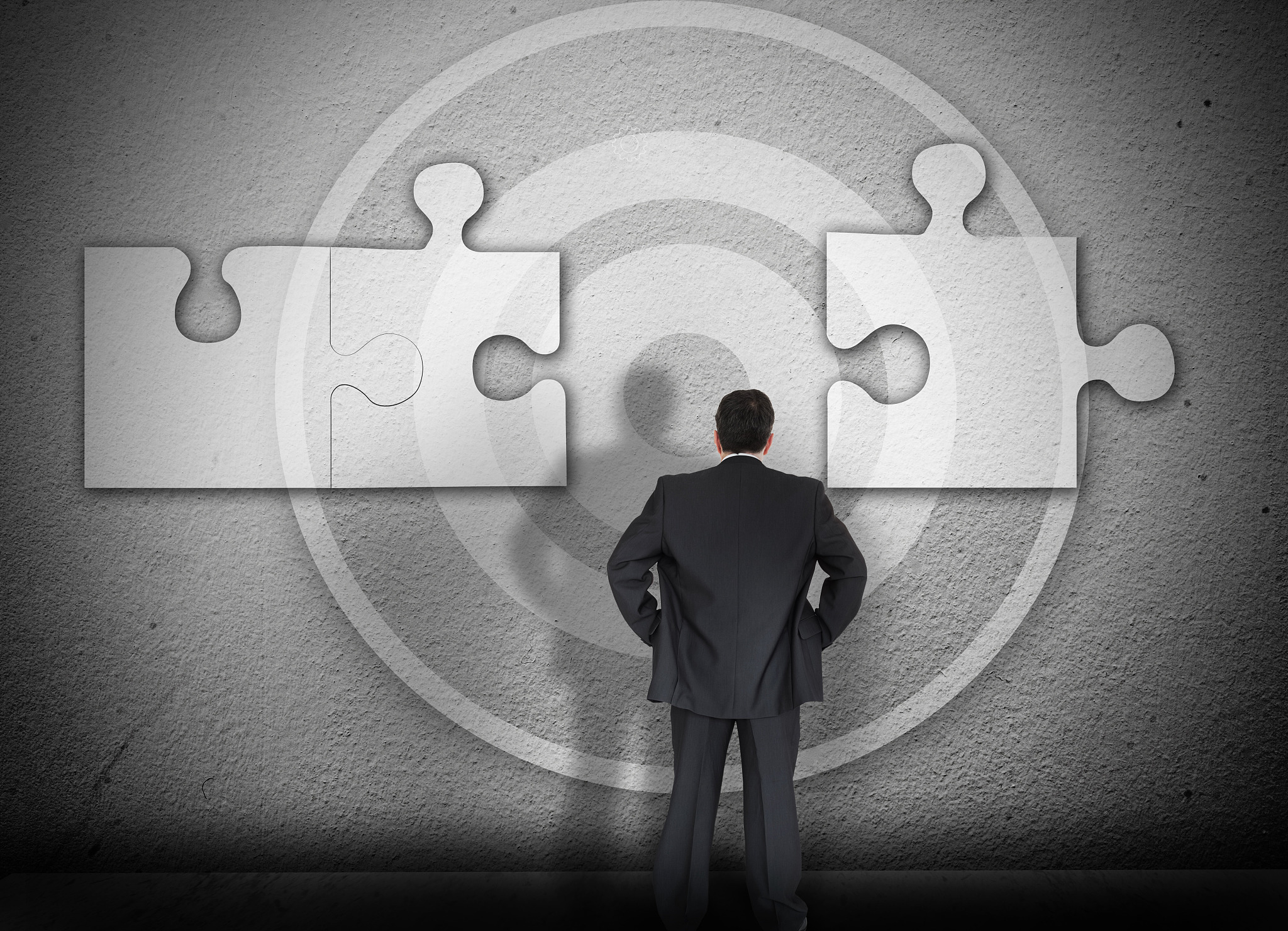 股东可以同时在职多家同领域公司吗？ - 法律法规和利益冲突分析