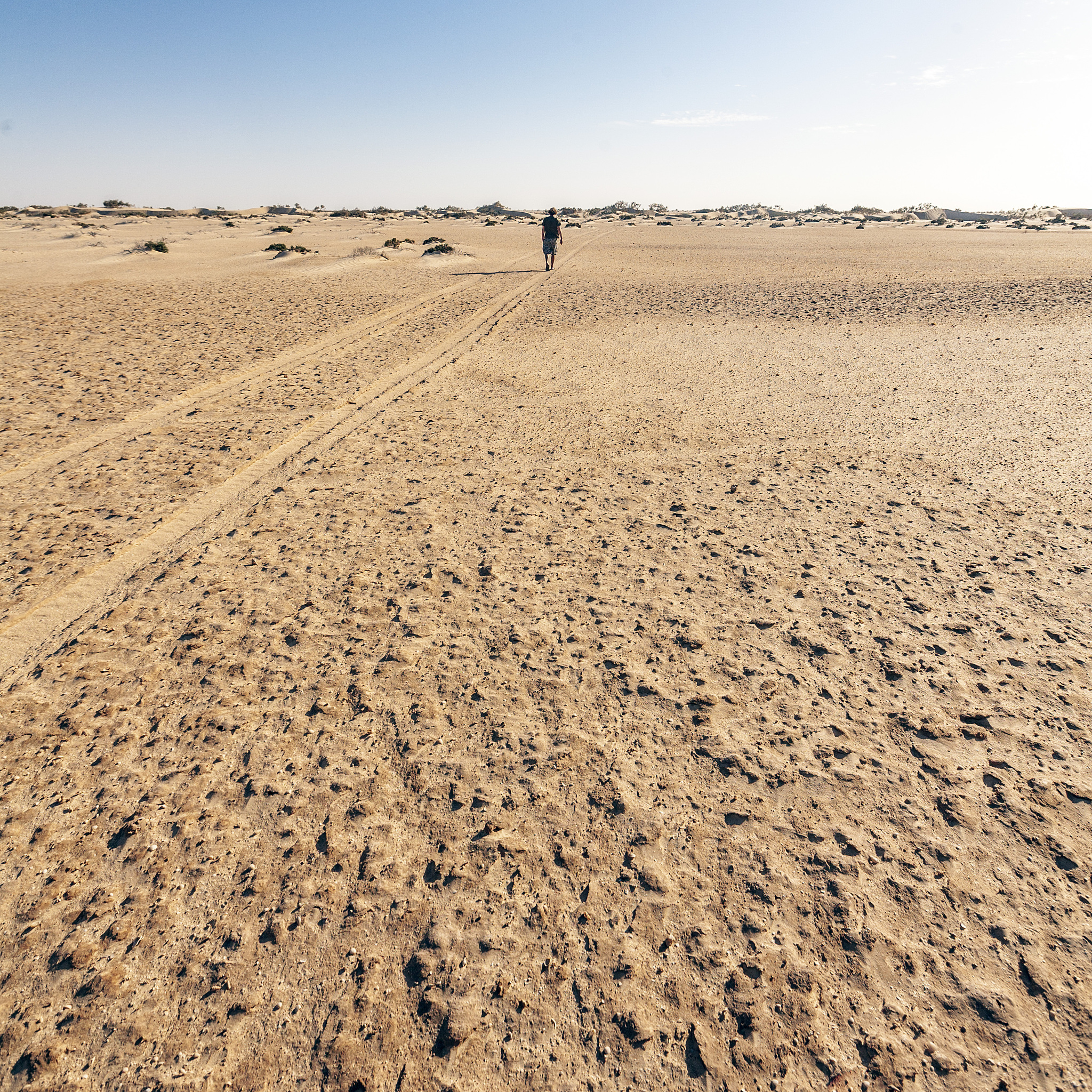 沙漠里为什么没水