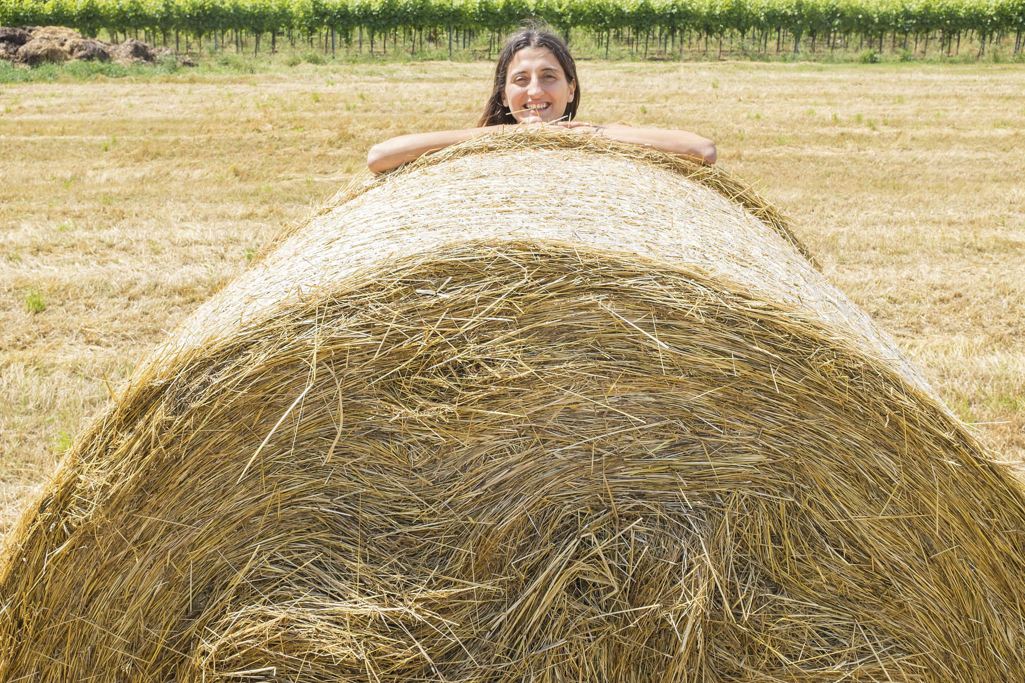 beautiful woman in a wheat field in a summer day