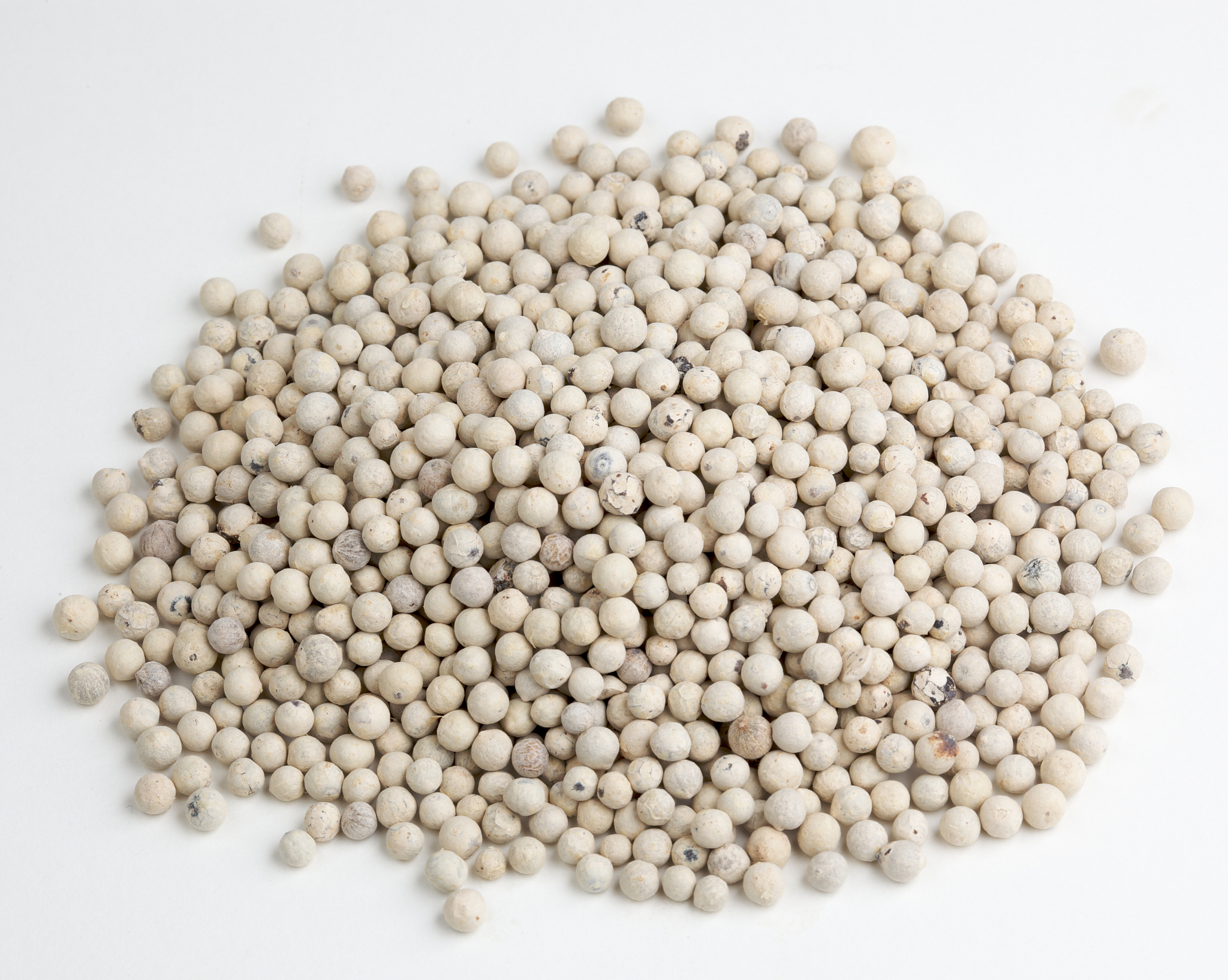 宁波经贸学校中药专业好学吗就业前景好不好