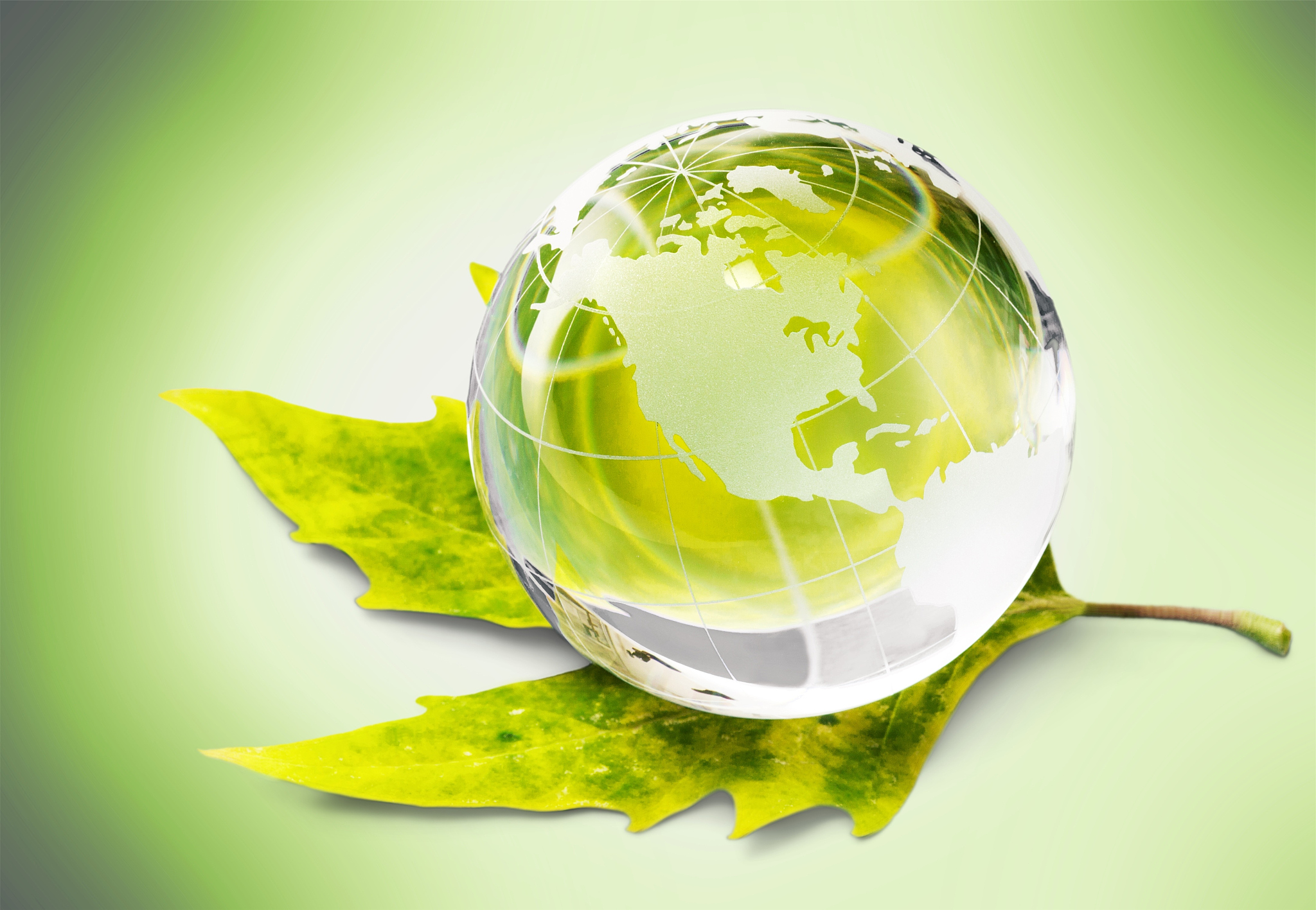 environment.