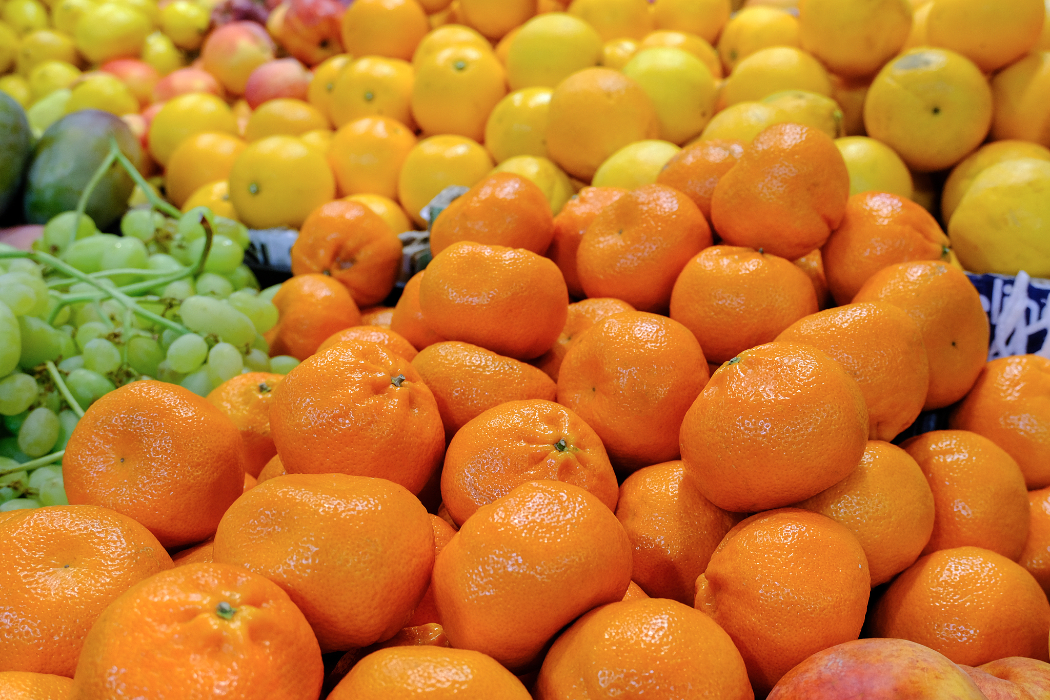 Сitrus fruits on the market