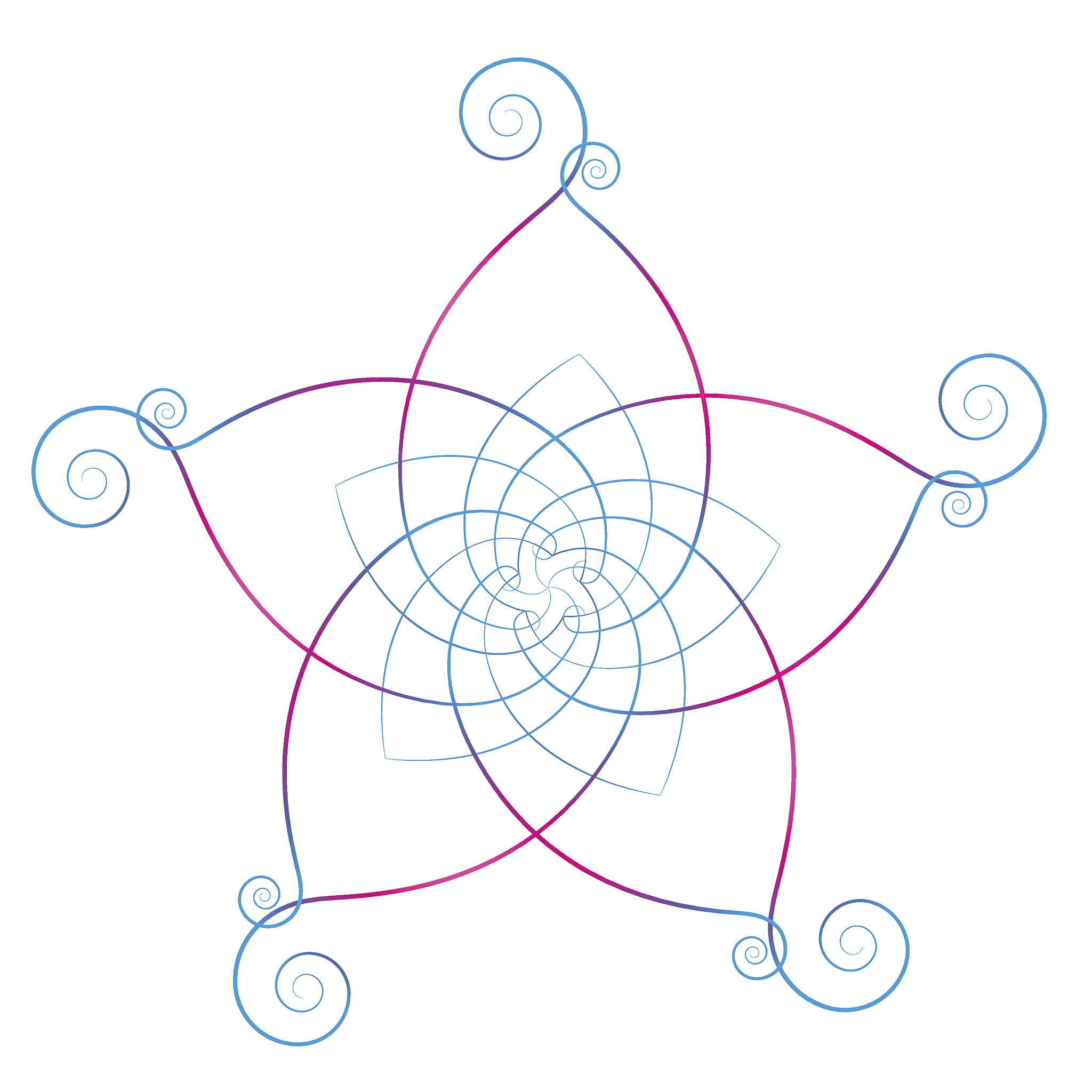 flower of the venus calligraphic white