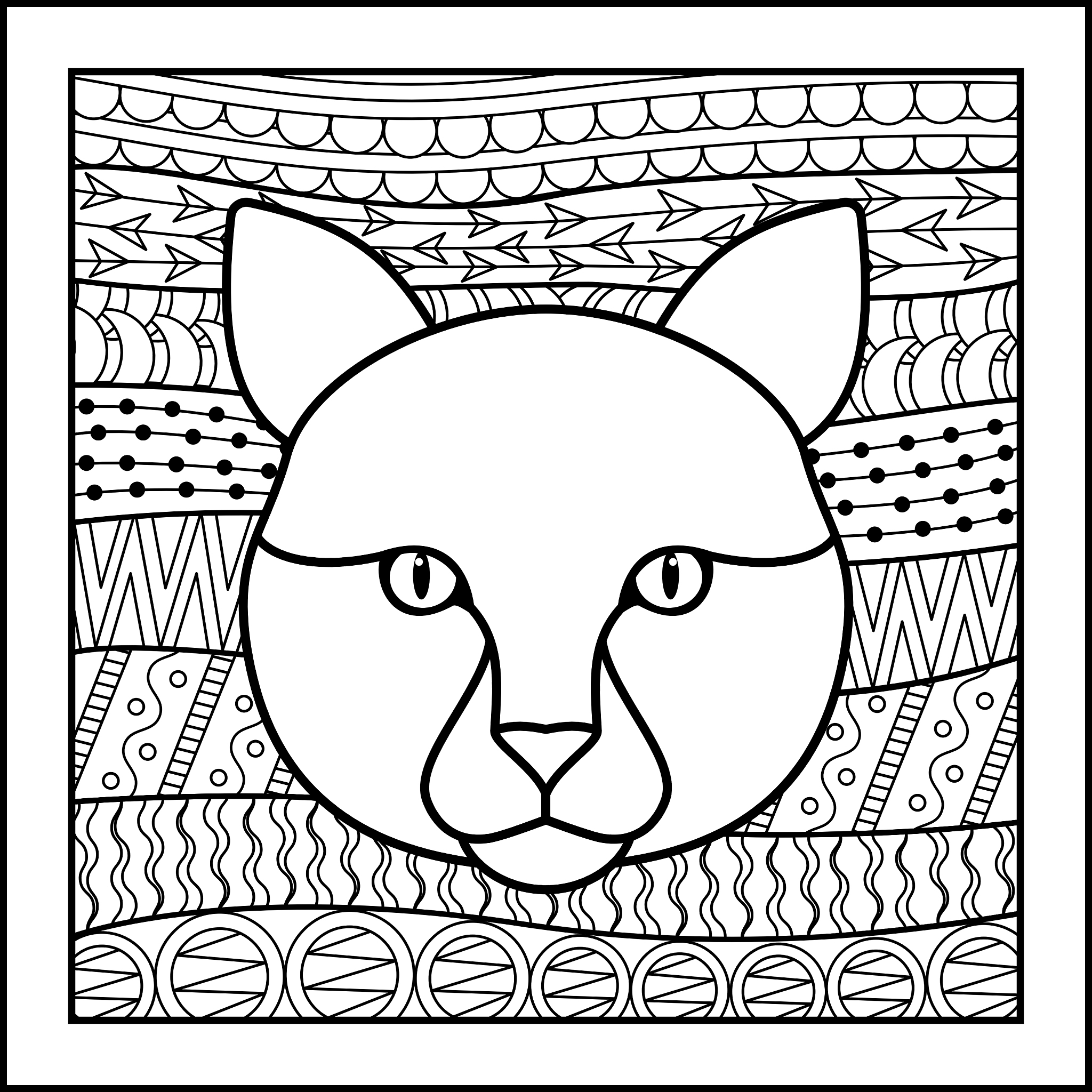 土生木千目流打一准确生肖：猫