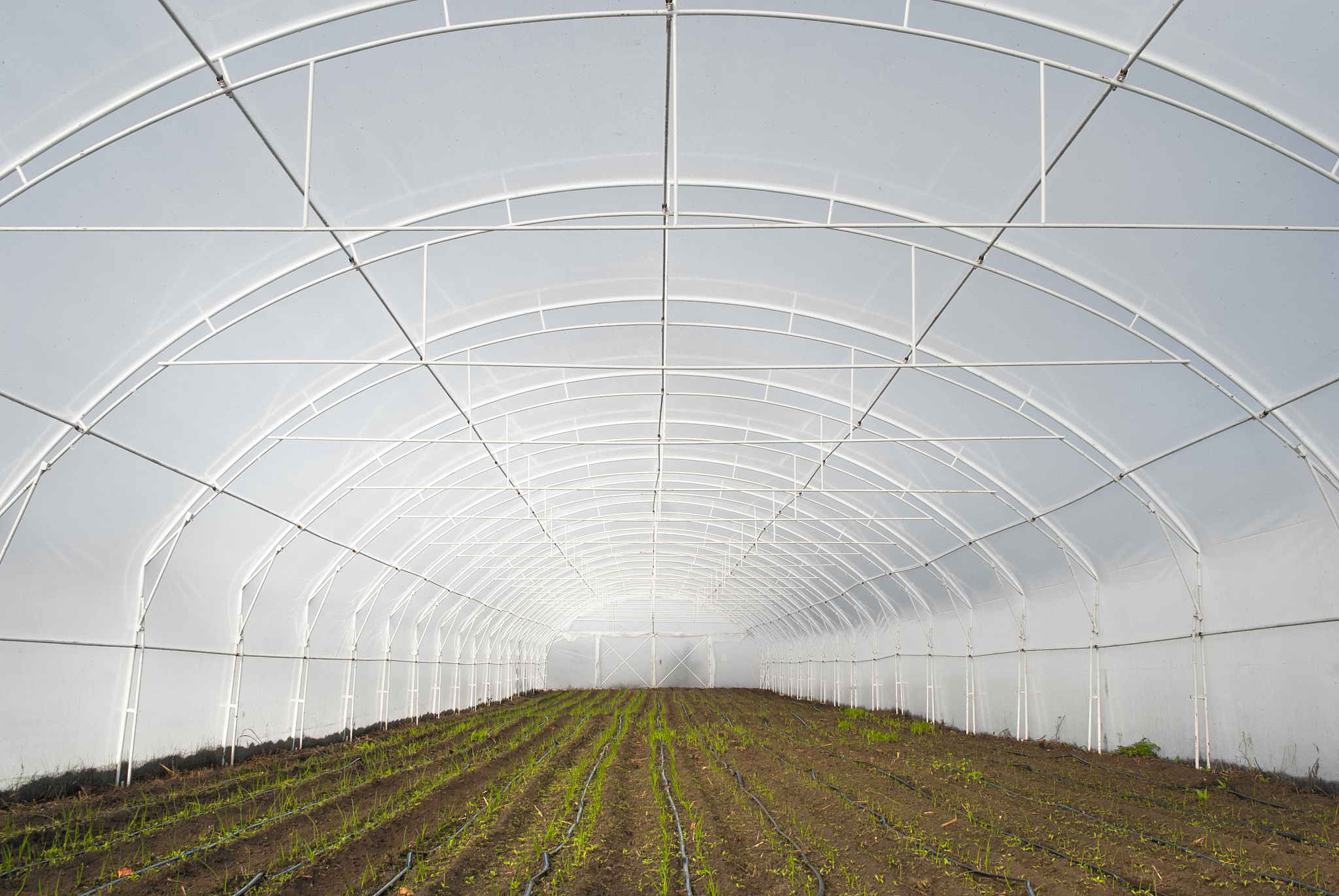 biofarm hothouse