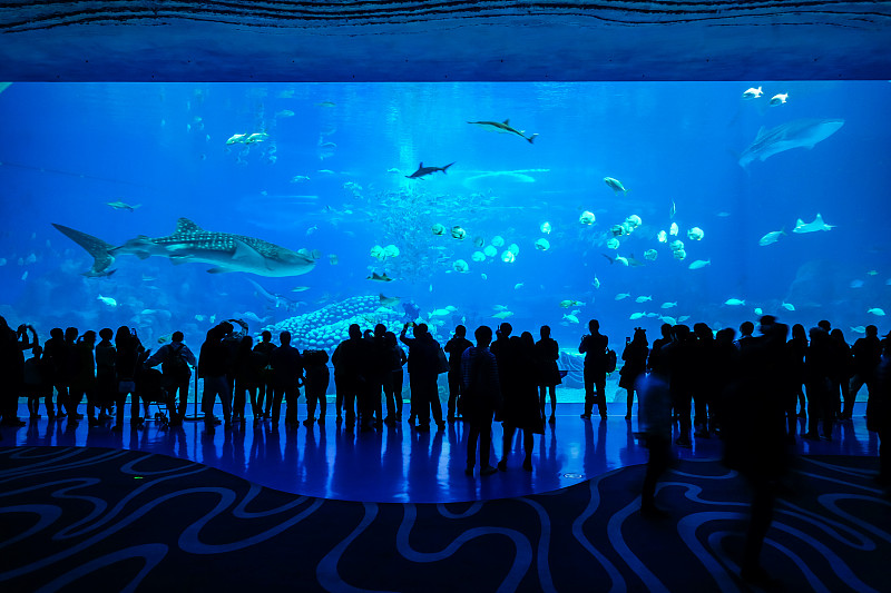 海洋科技如何与海南旅游相结合