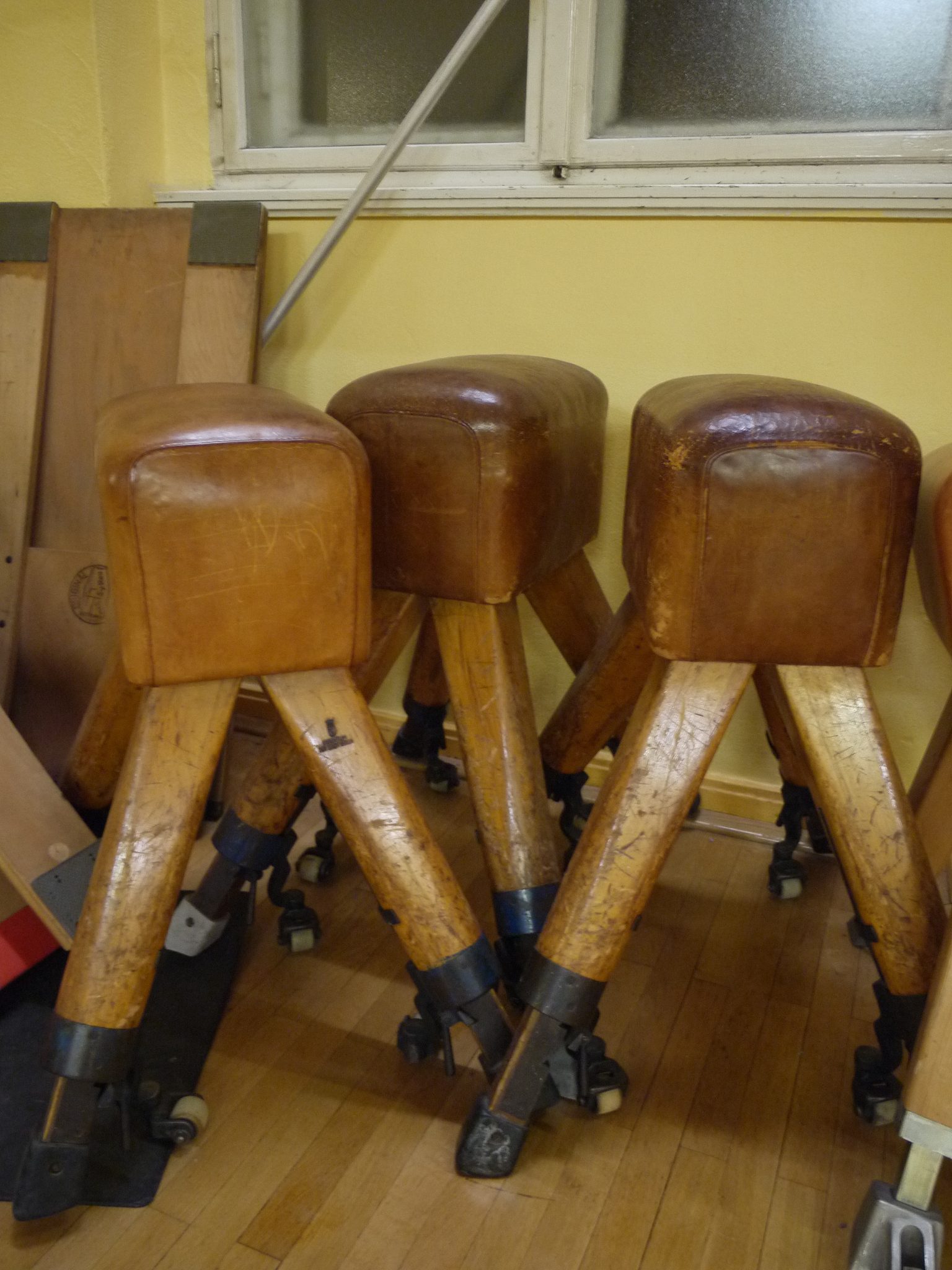 泰州市体育运动学校2021年招生专业有哪些