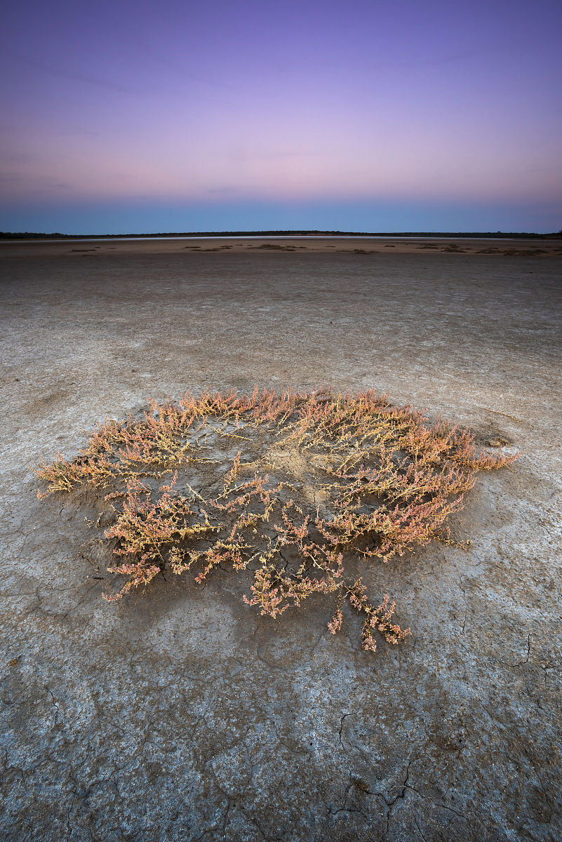土壤贮水量计算方法及步骤详解