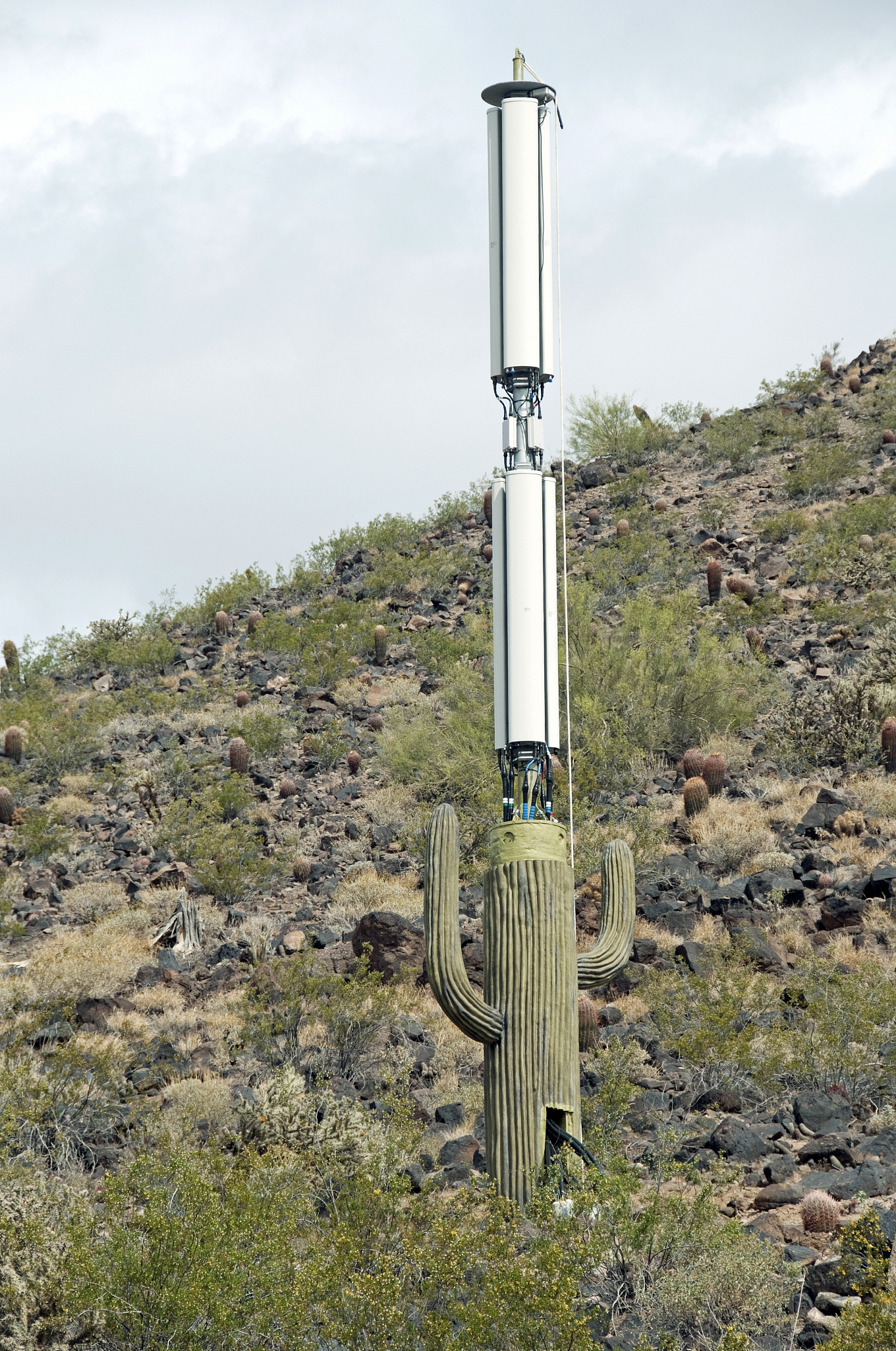 cell tower under construction disguised as saguaro cactus
