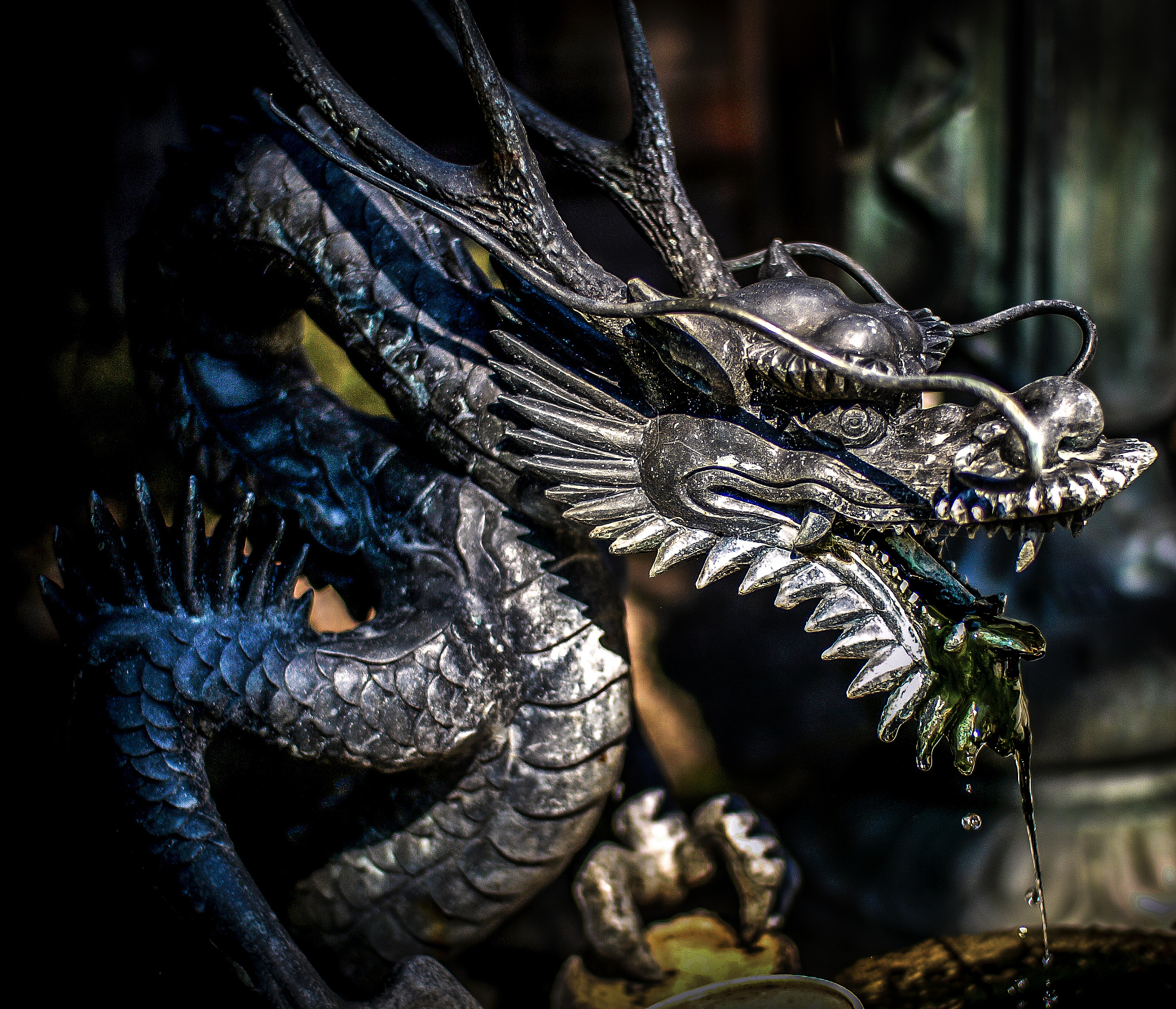 dragon water