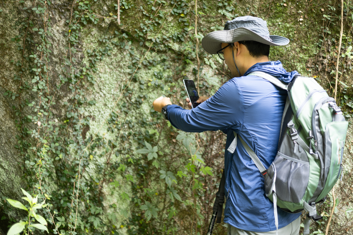 野外生存技巧：户外探险中的自给自足指南