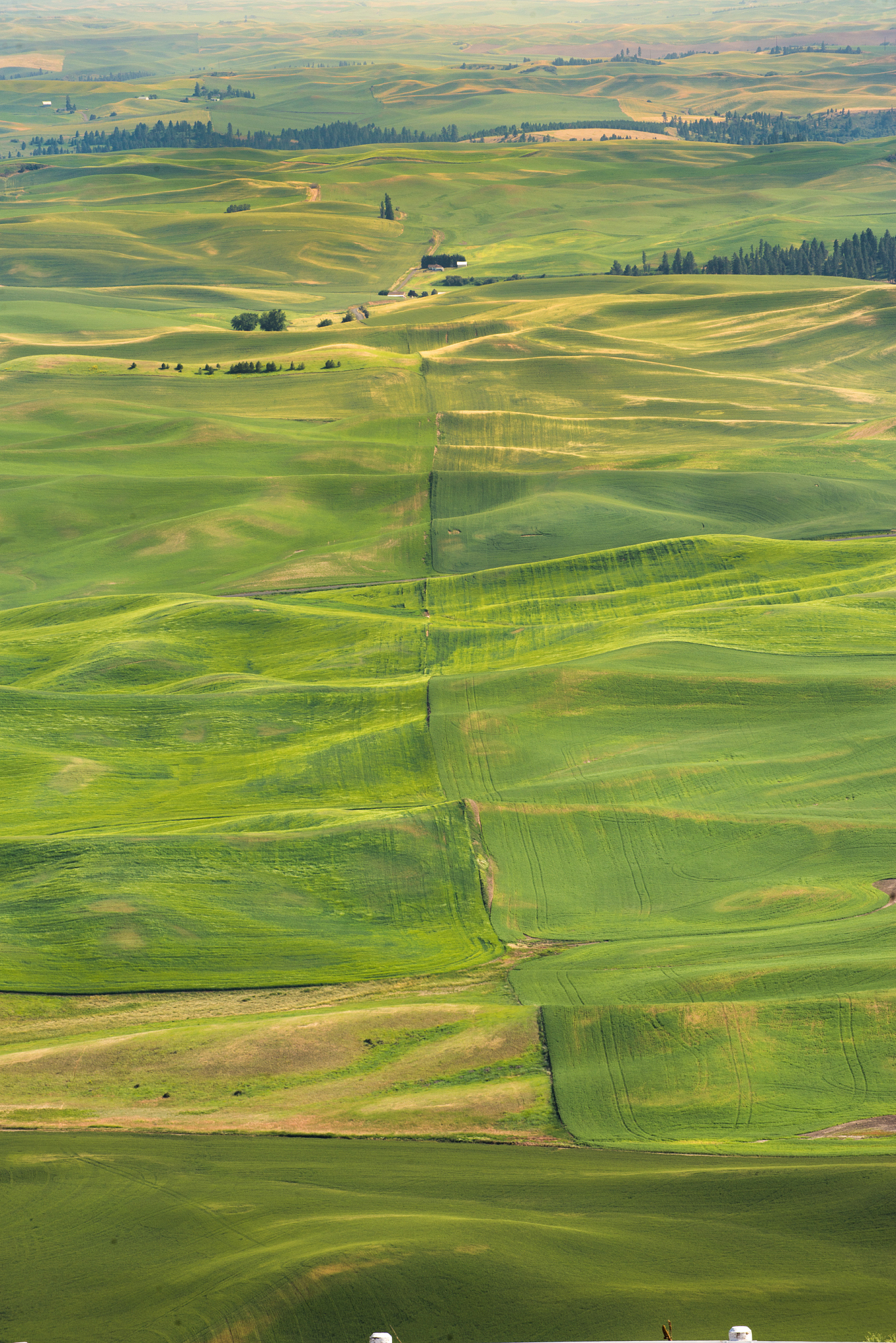 the beauty of farmland