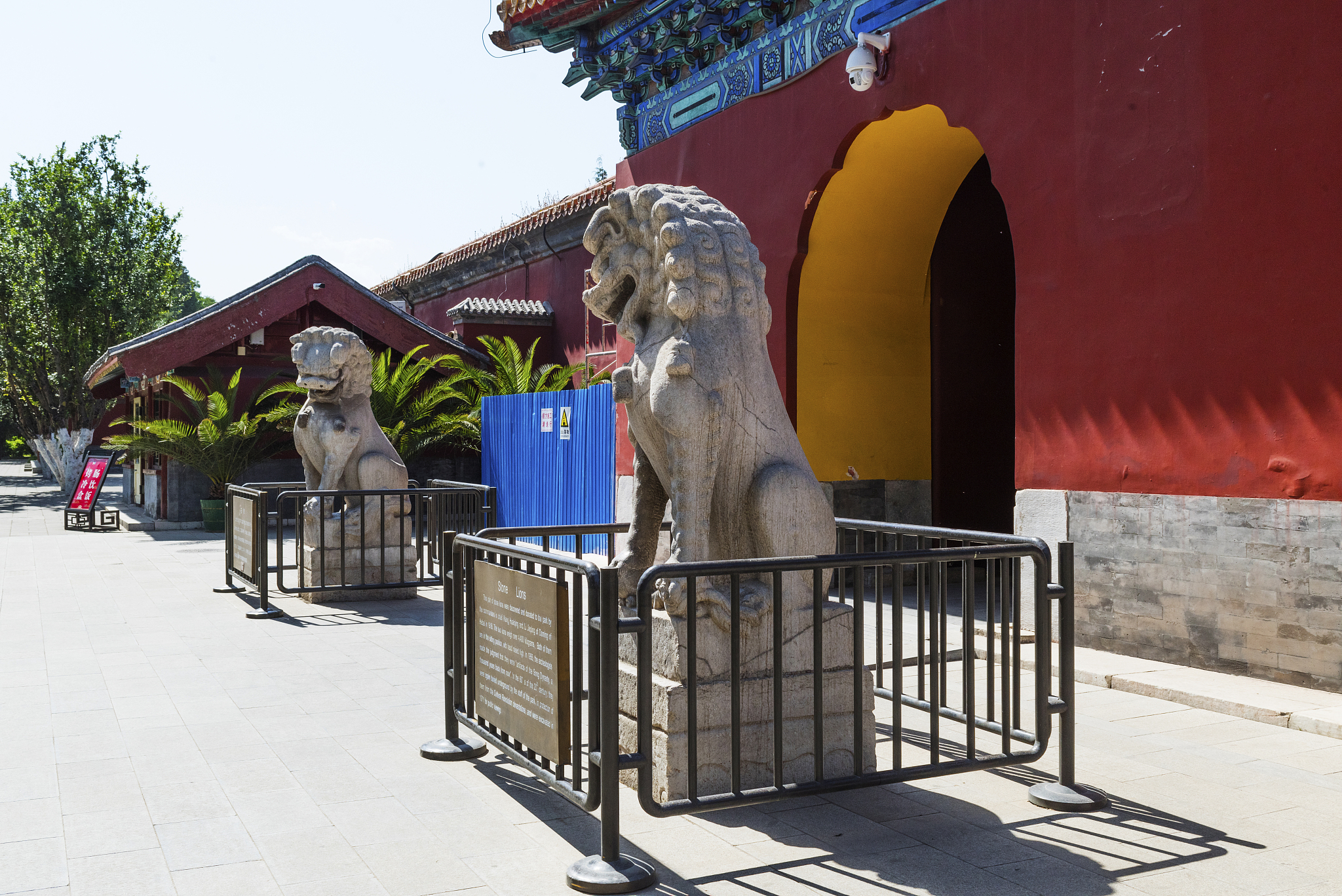 stone lions in the song dynasty