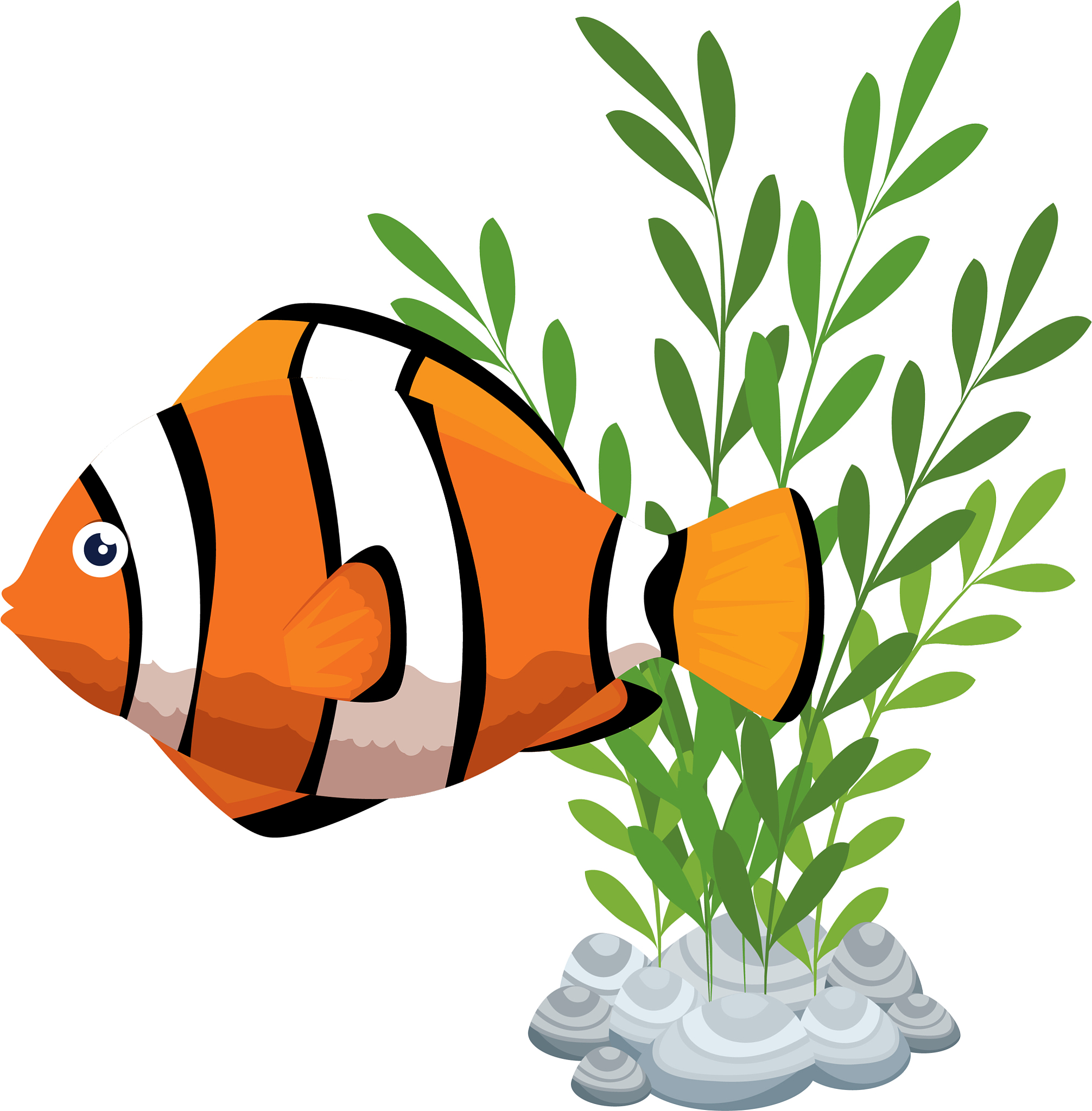 cute ornamental fish with seaweed