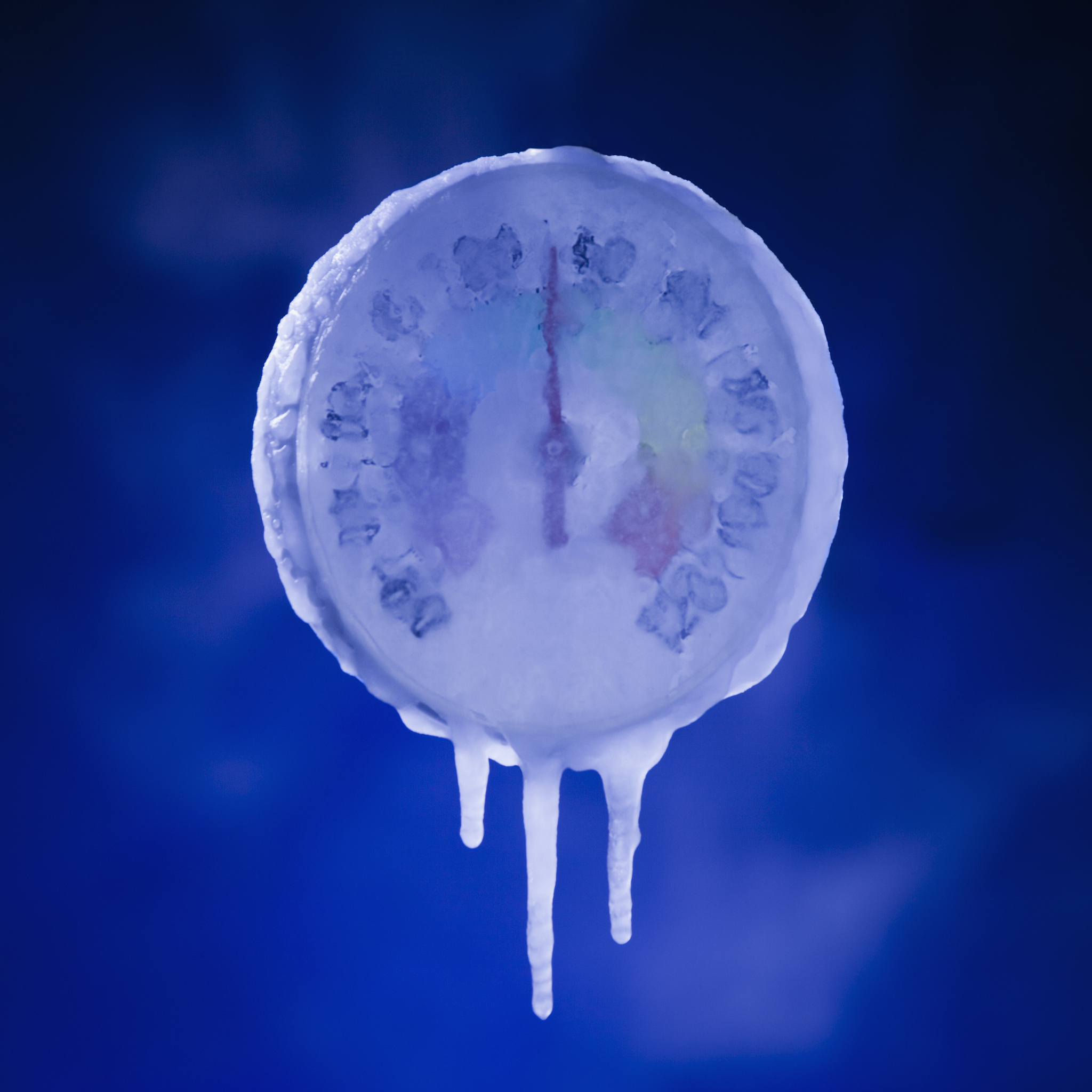 化学实验中的水母奇观：一段诗意的描述