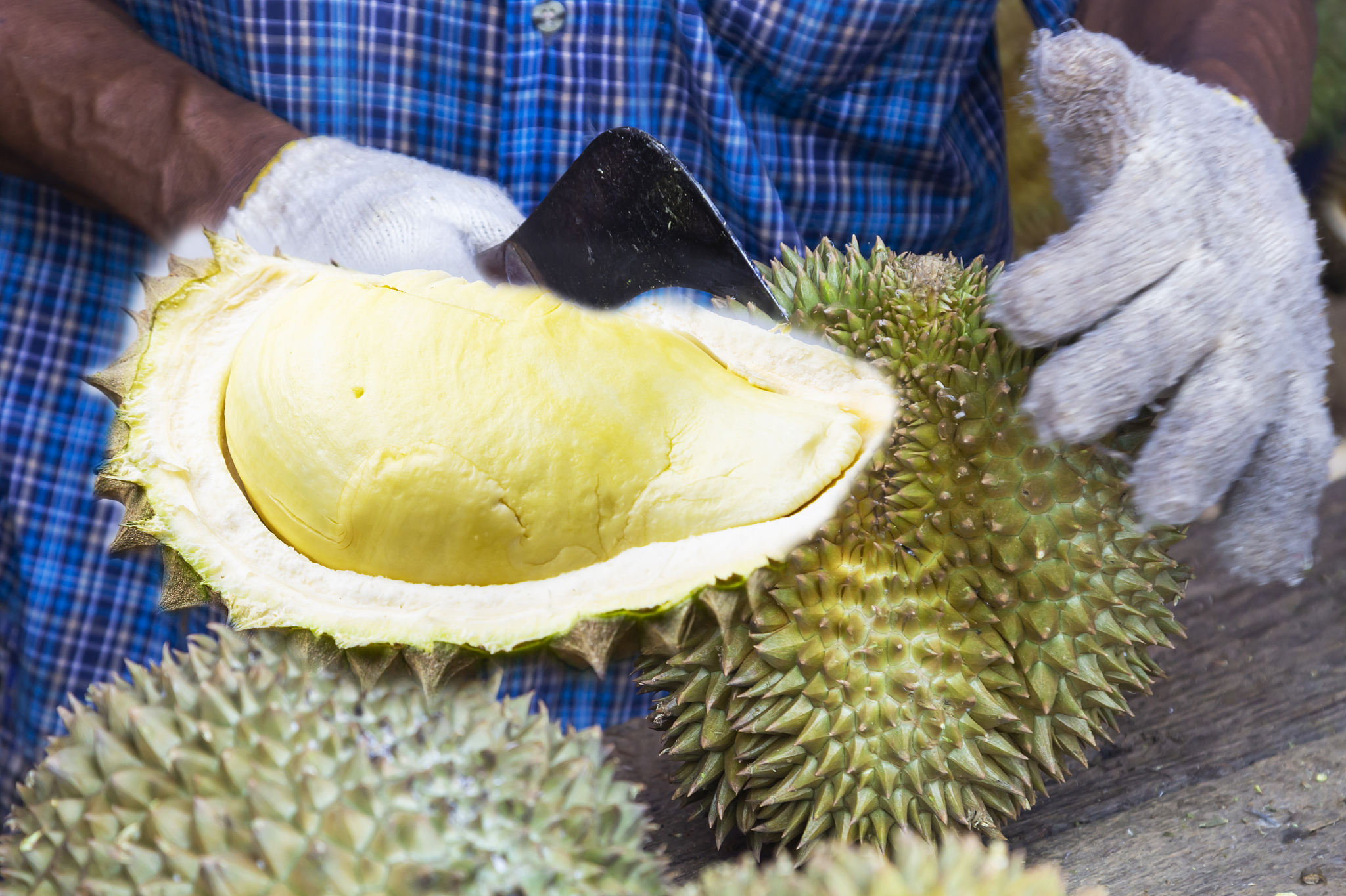 榴莲重点突出产地口味爆款标题出10个