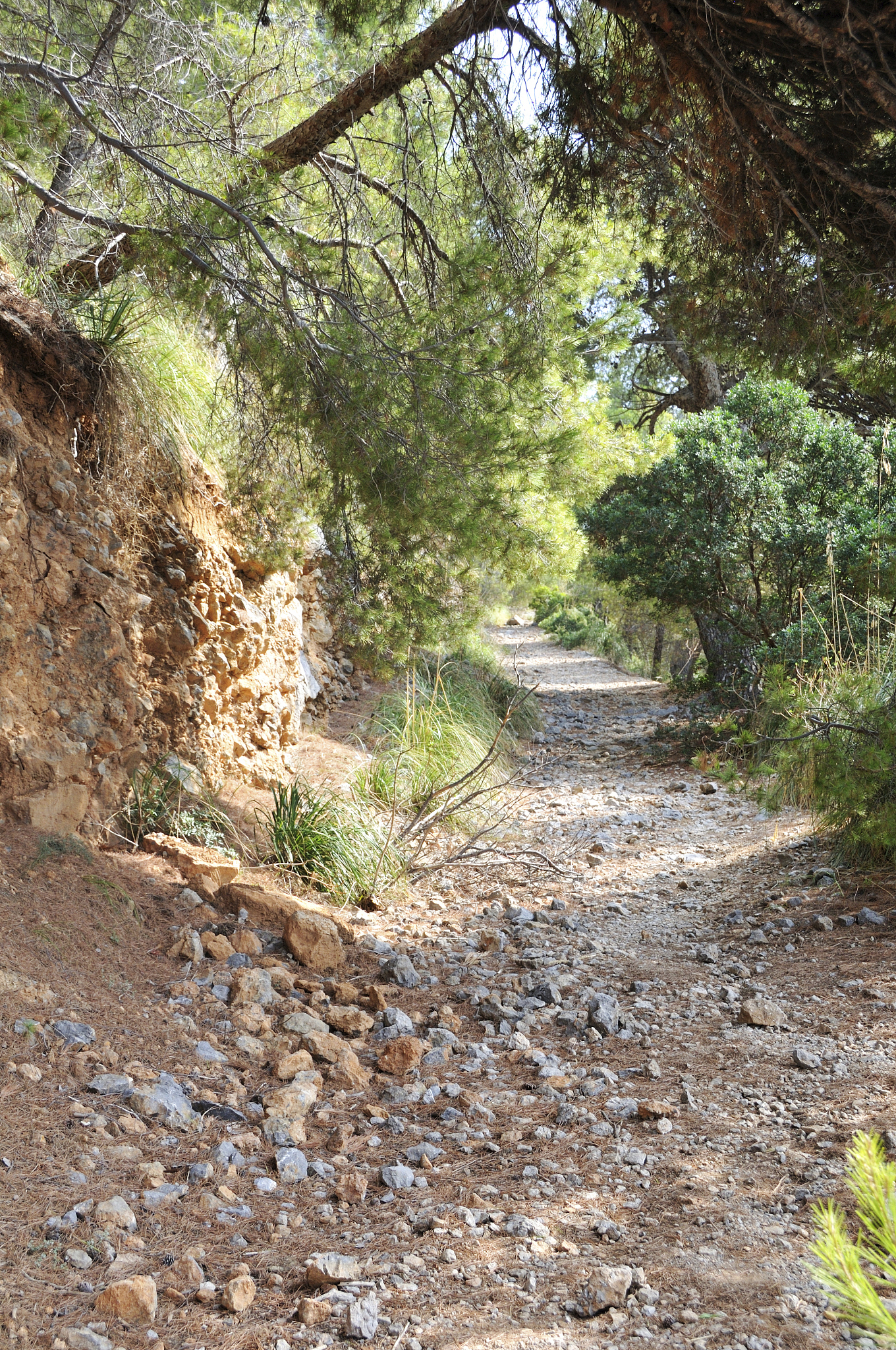 rural track