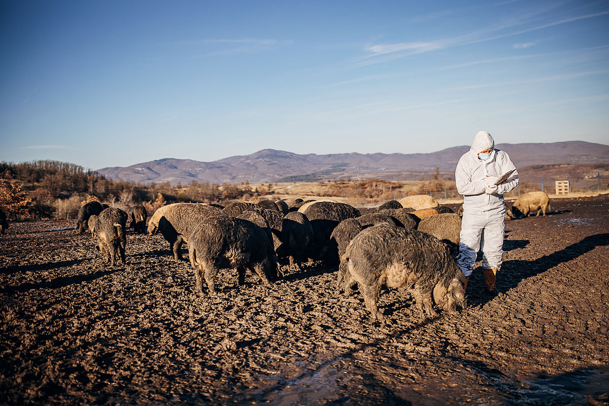 昆明市农业兽医学校五年制大专招生介绍 - 2019