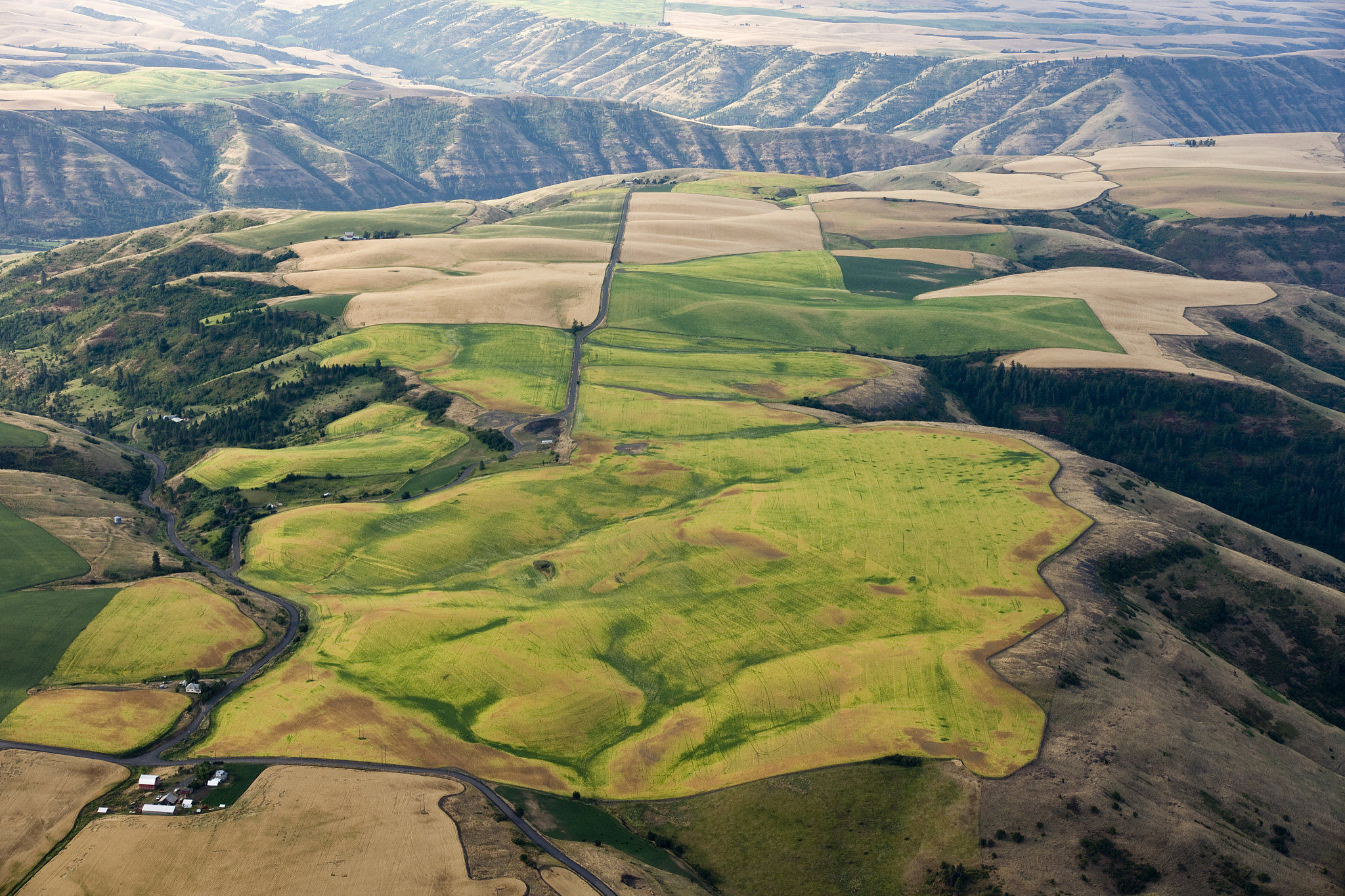 mountain top farms