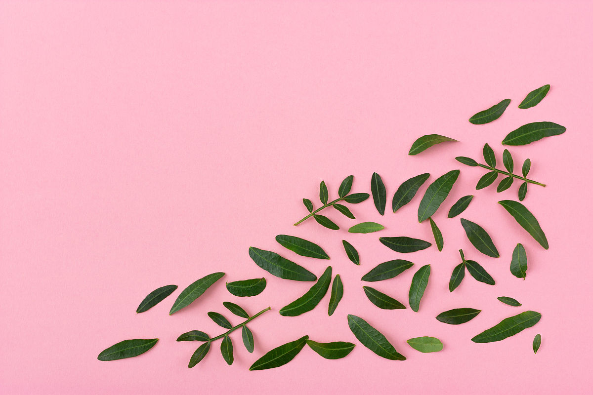 WPS演示文稿如何链接到其他演示文稿的幻灯片