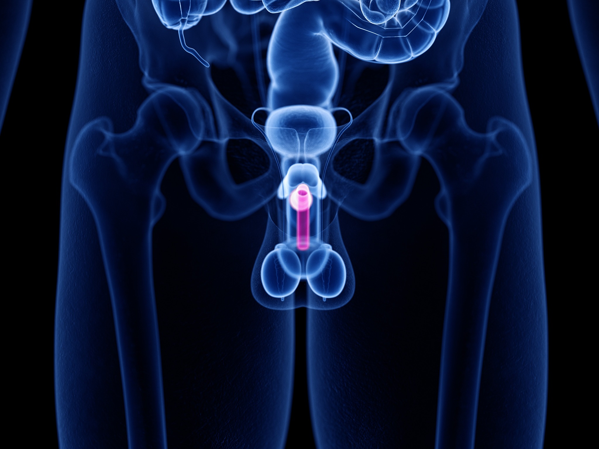 提升海绵体硬度的运动有哪些？