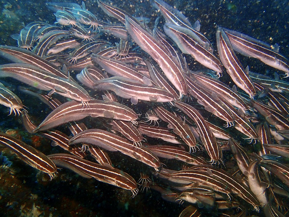 江西冶金职业技术学院招生简章-怎么样