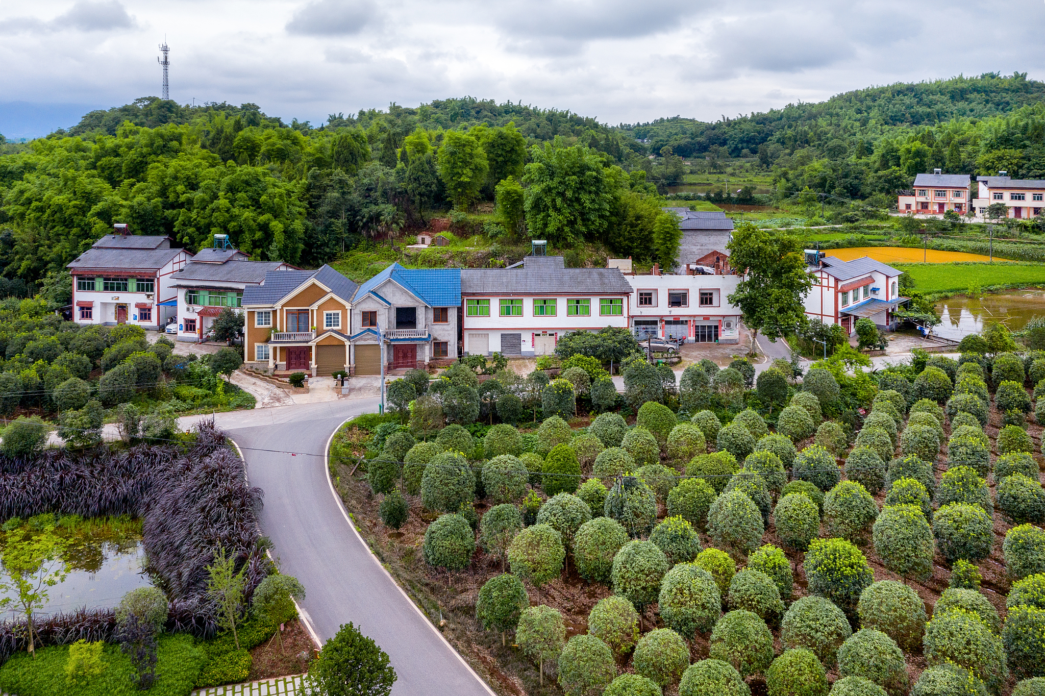 申请创建和美乡村 - 临江村和白沙村情况及建议措施