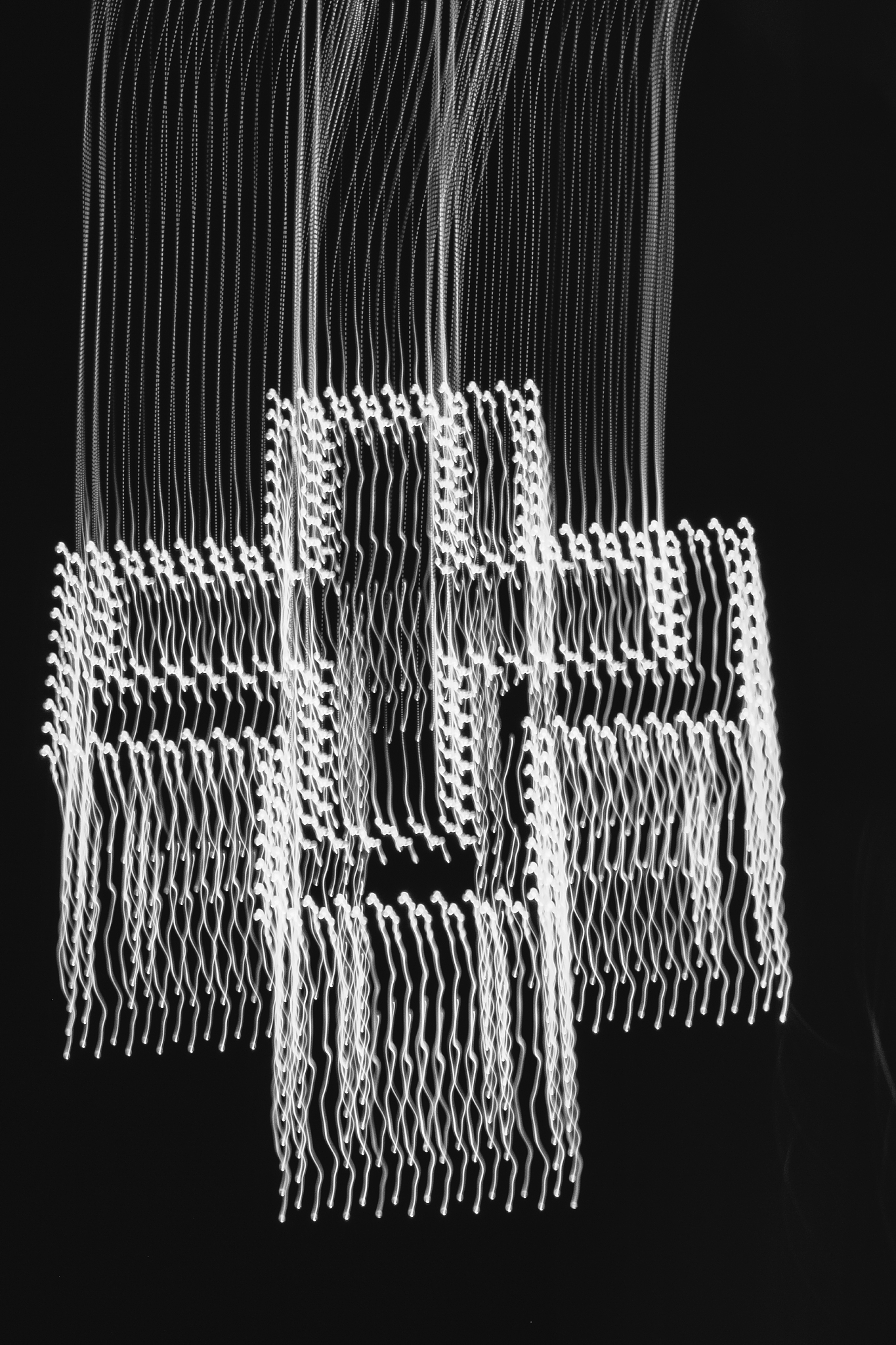 稻纵卷叶螟幼虫空间分布研究：泊松分布拟合分析