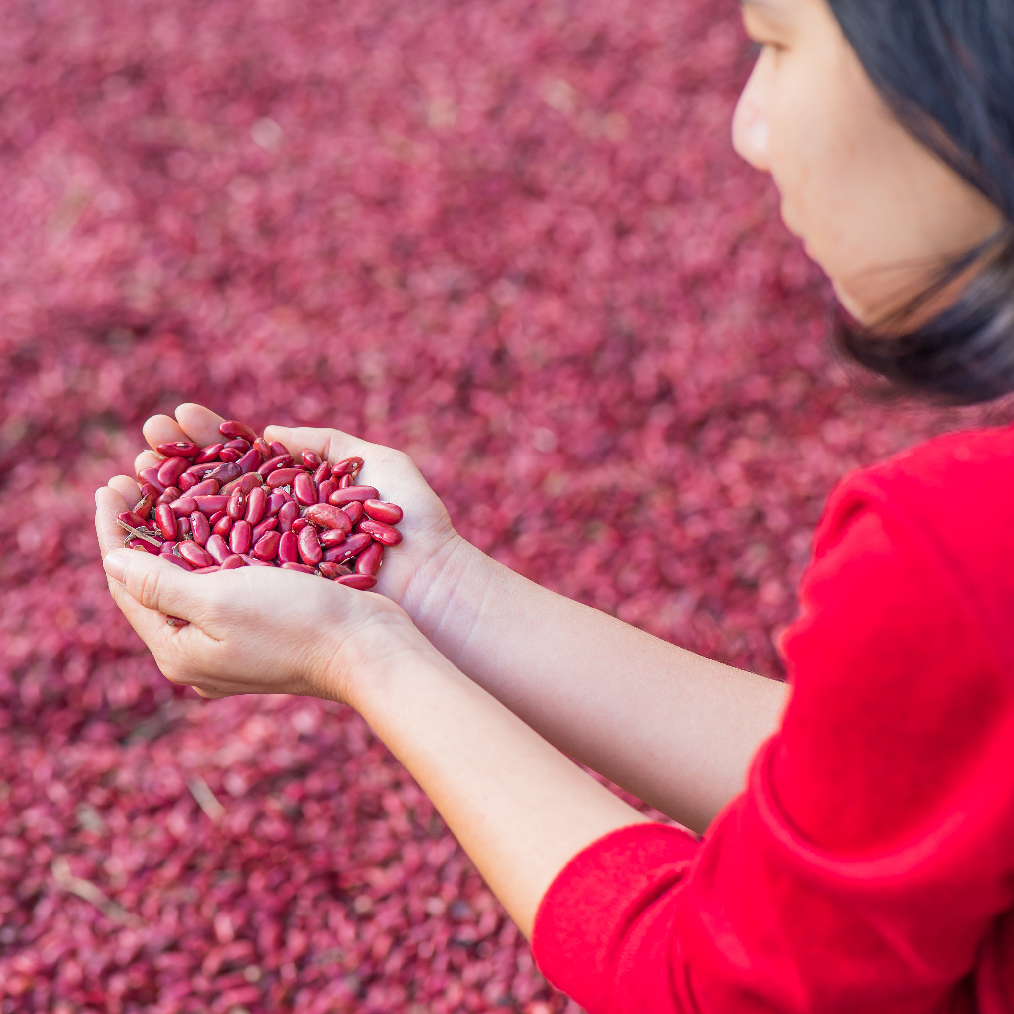 吉林省林蛙产业发展的文献综述分为国内和国外各1000字左右