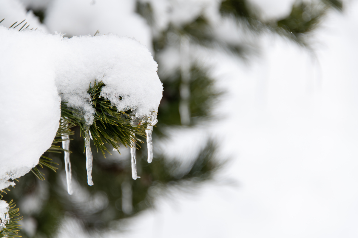 立夏下雪的罕见奇观：原因、现象及意义
