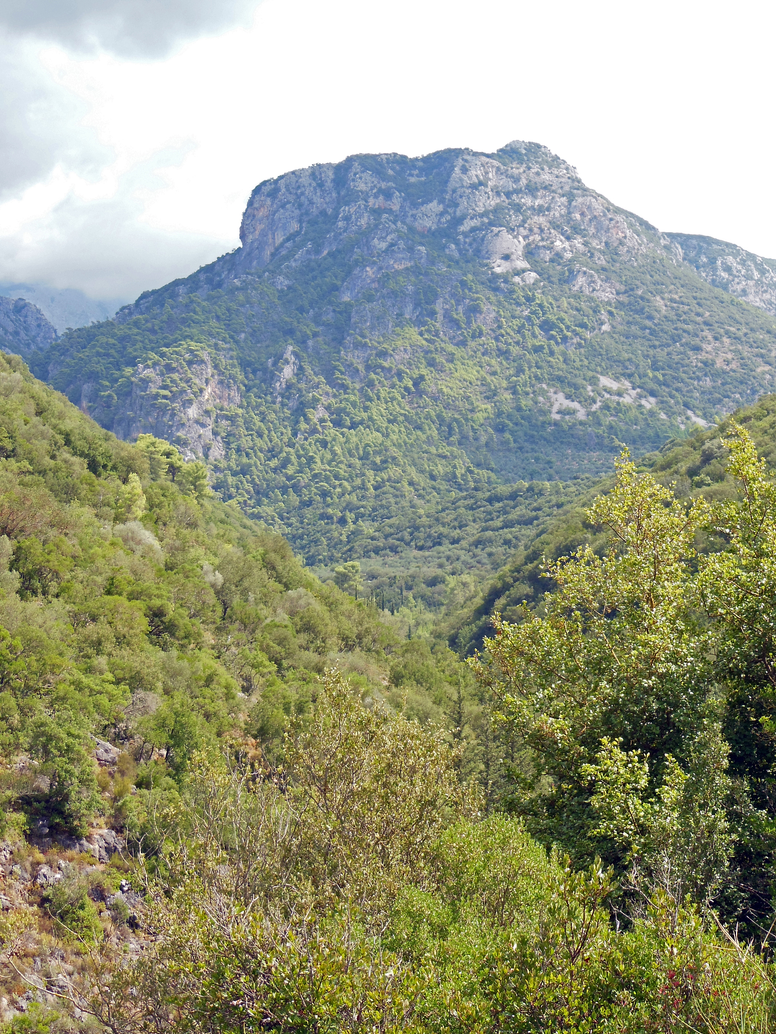 手机串码查询型号和配置：最全方法及网站推荐