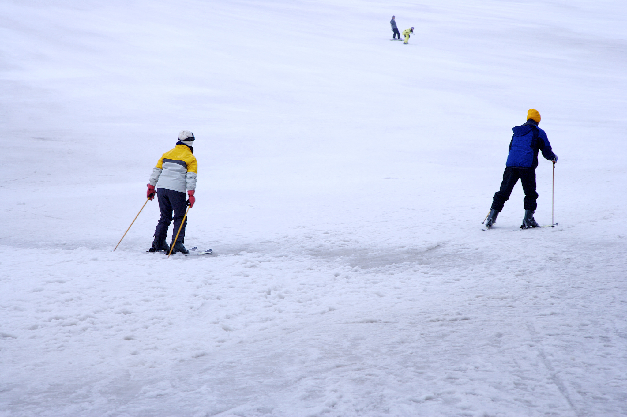 寒假滑雪趣事600字