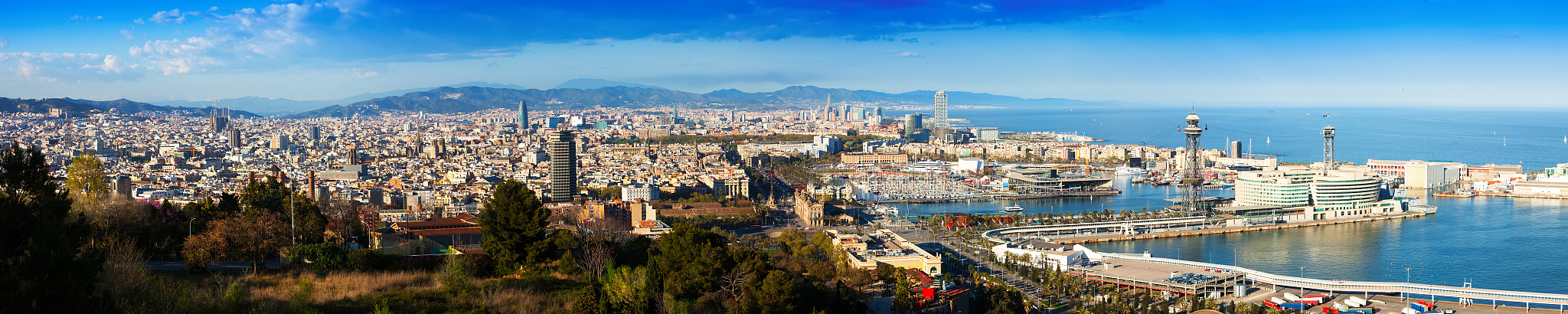 panorama of barcelona with port